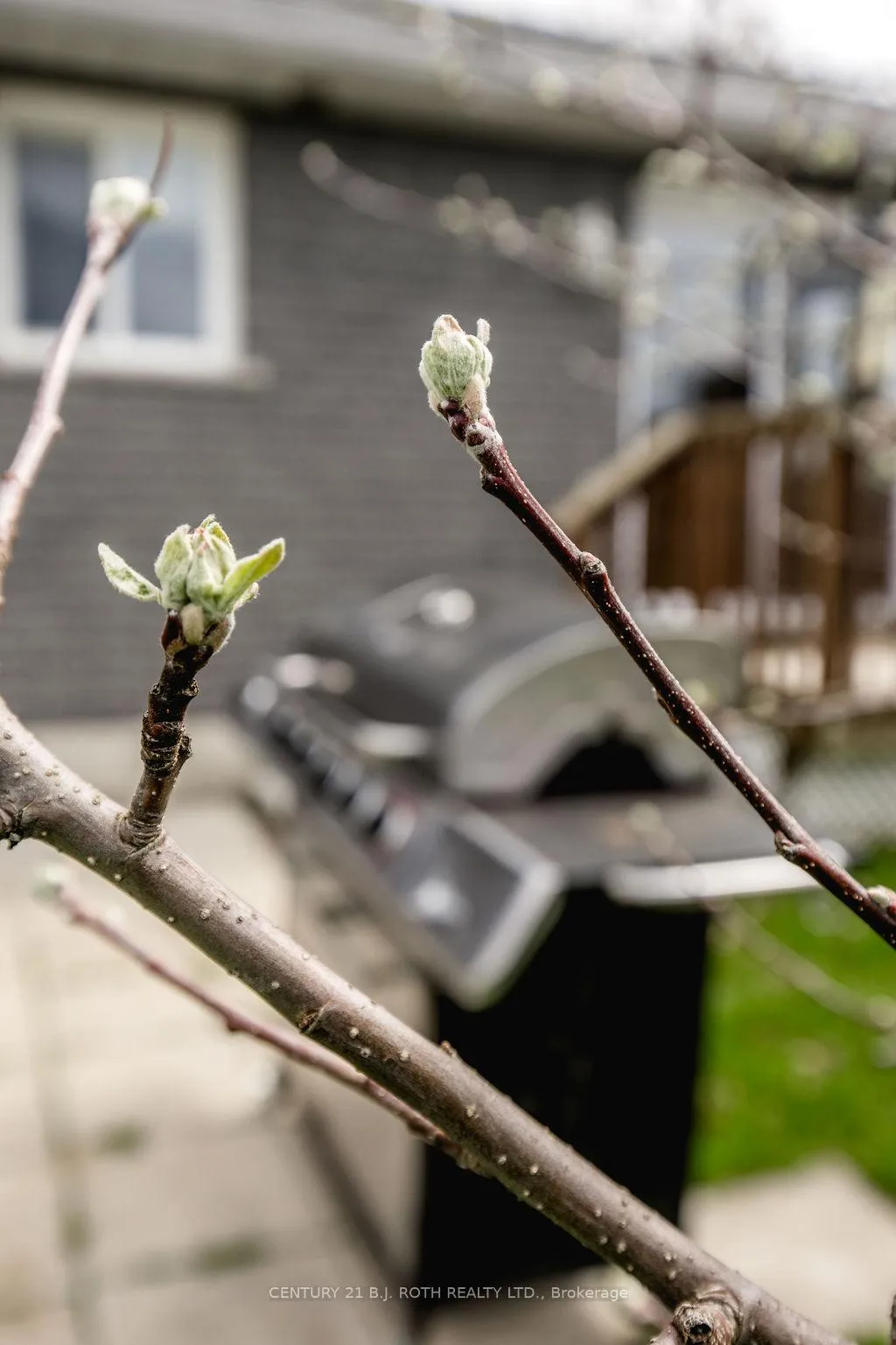 Photo 44 of 12 Graham Street, Springwater, Elmvale — HOMEH