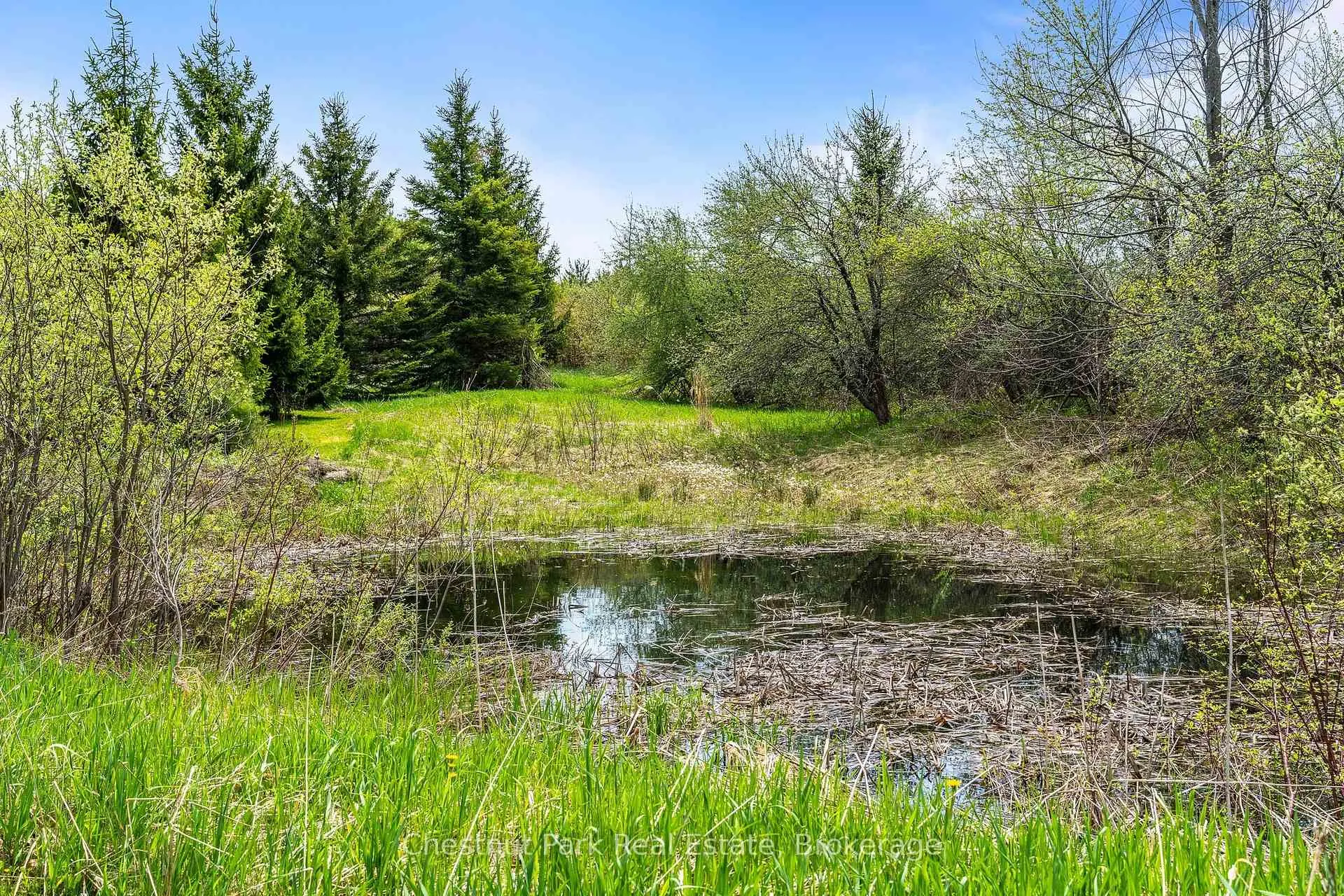 Photo 43 of 758510 2nd Line E, Mulmur, Rural Mulmur — HOMEH