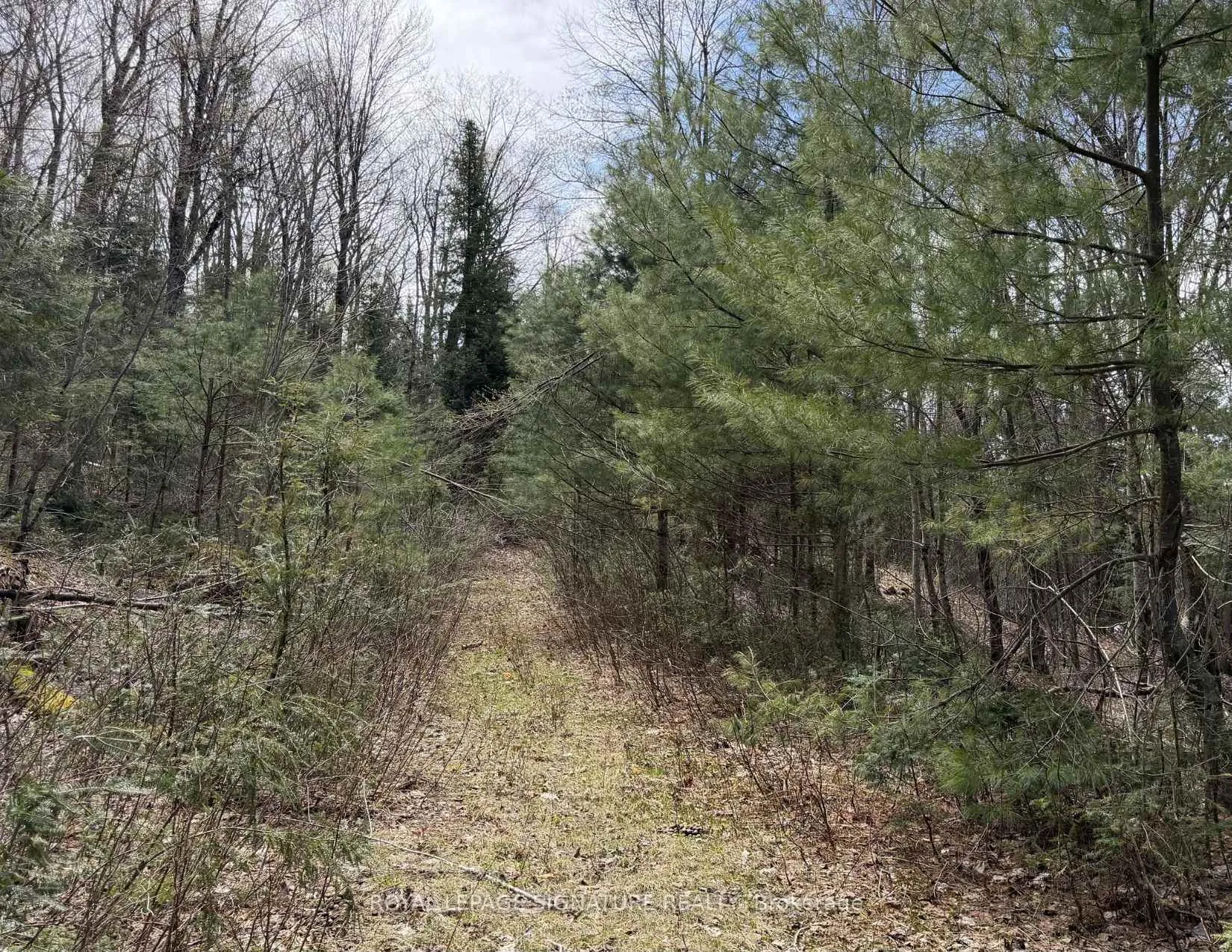 Photo 80 of 1170 Peter Road, Bracebridge, Macaulay — HOMEH