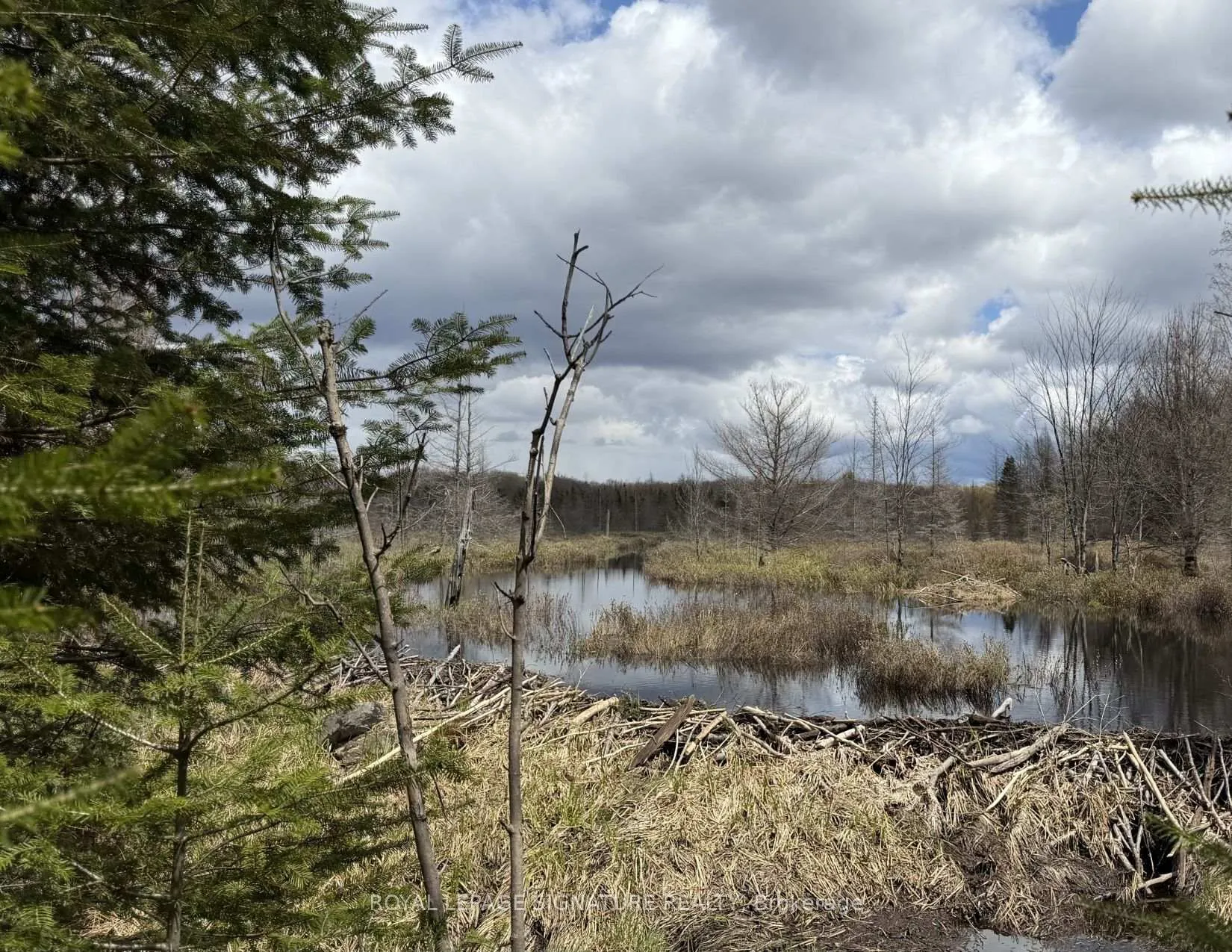 Photo 88 of 1170 Peter Road, Bracebridge, Macaulay — HOMEH