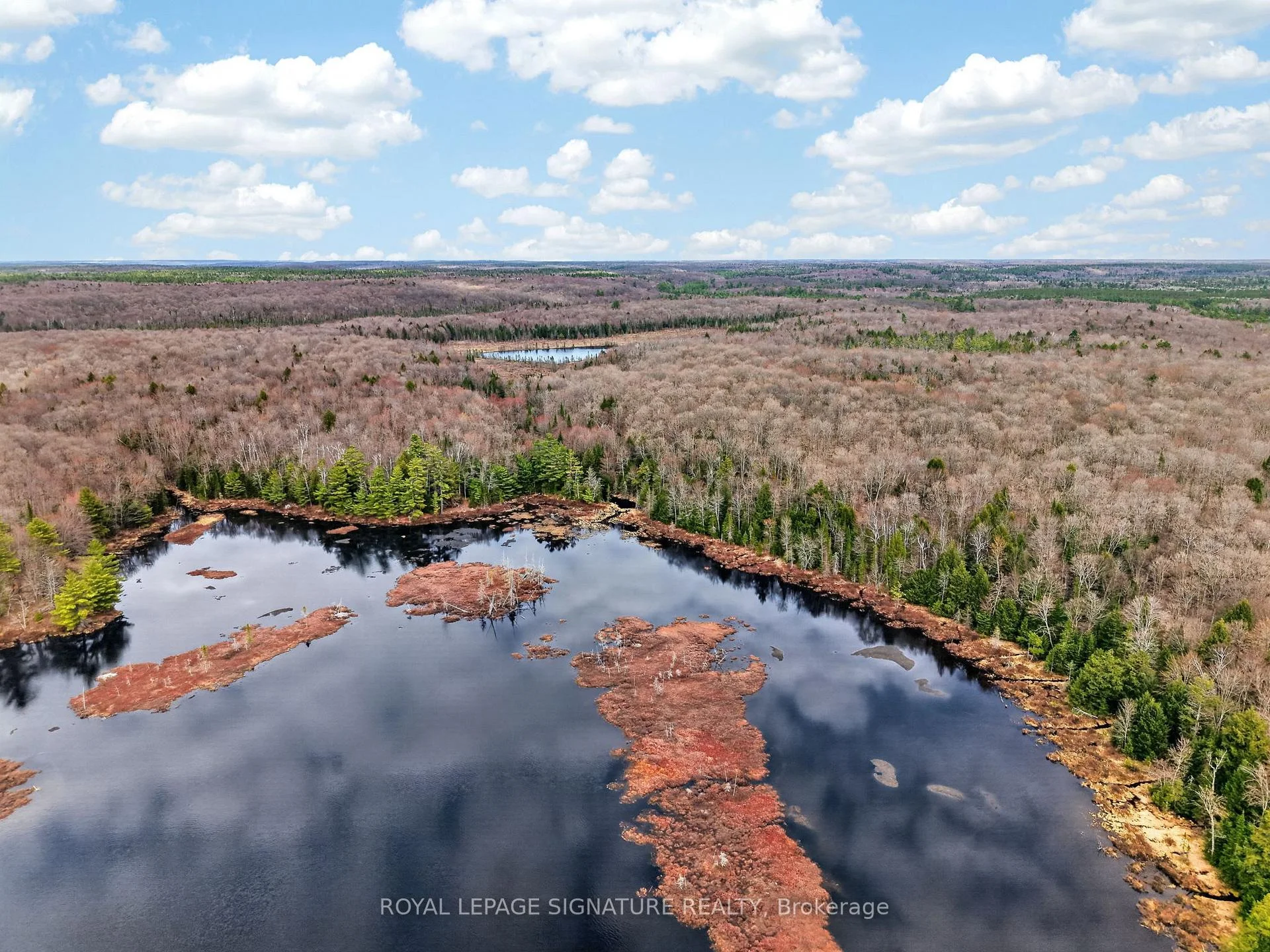 Photo 5 of 1170 Peter Road, Bracebridge, Macaulay — HOMEH