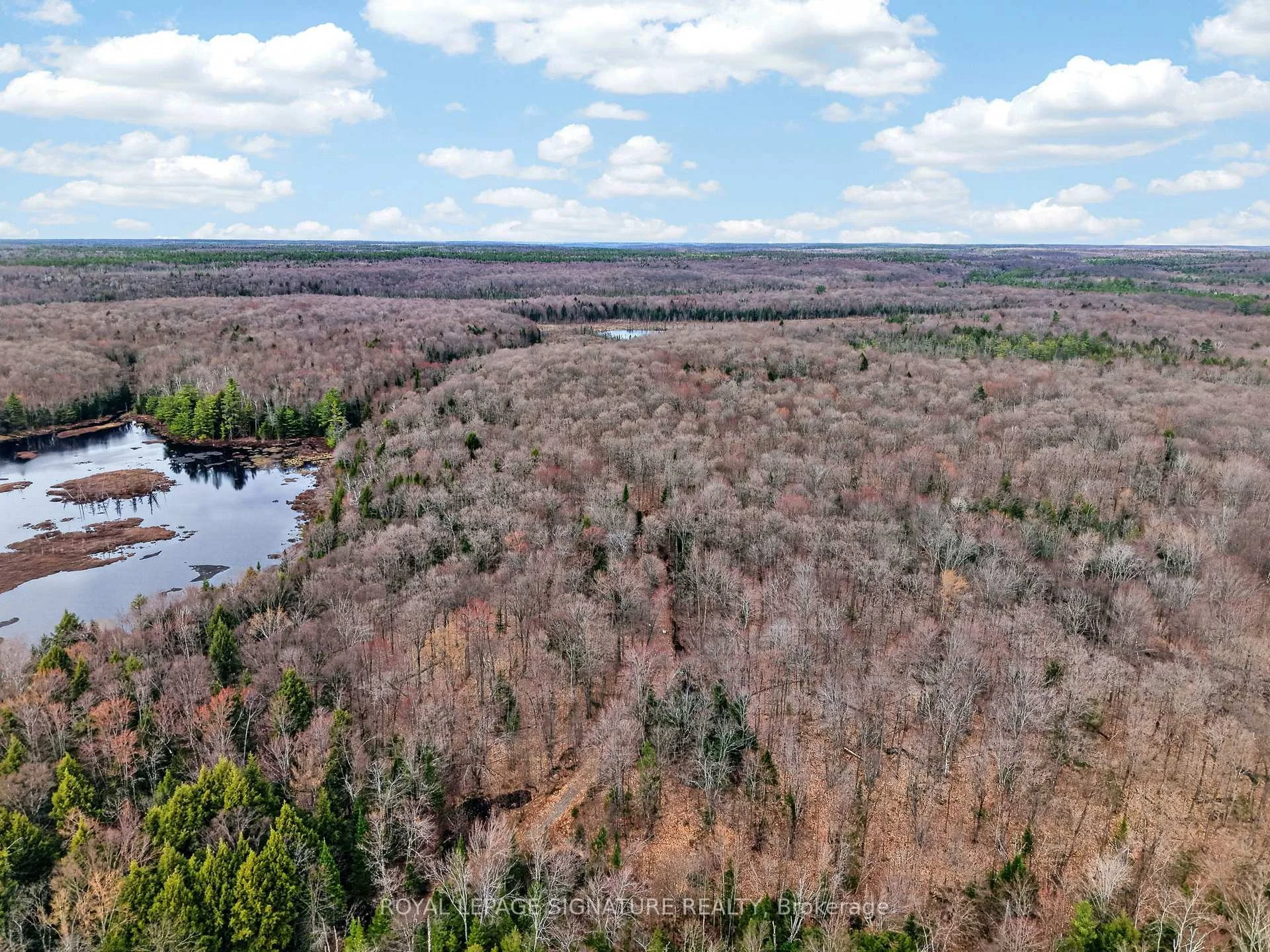 Photo 6 of 1170 Peter Road, Bracebridge, Macaulay — HOMEH