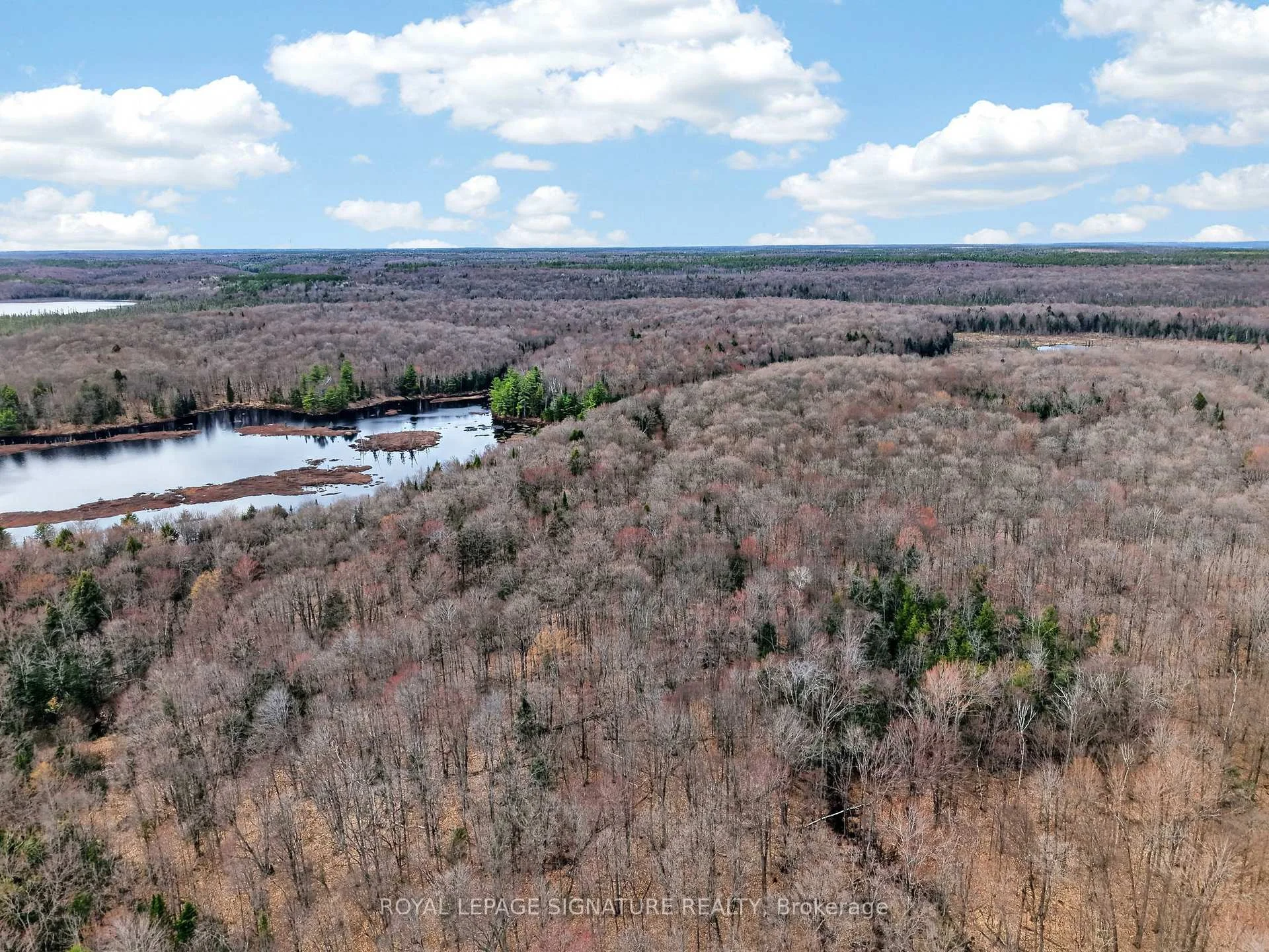 Photo 7 of 1170 Peter Road, Bracebridge, Macaulay — HOMEH