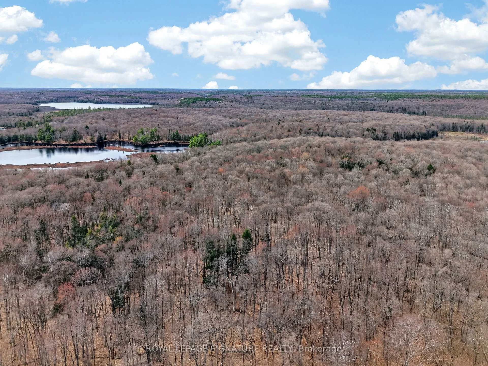 Photo 8 of 1170 Peter Road, Bracebridge, Macaulay — HOMEH
