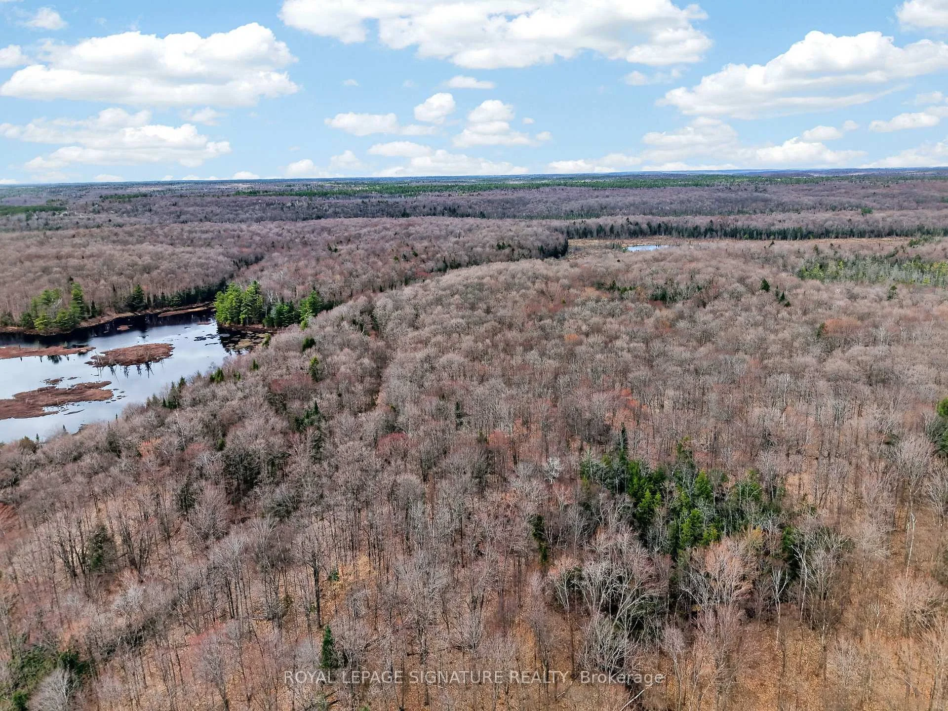 Photo 9 of 1170 Peter Road, Bracebridge, Macaulay — HOMEH