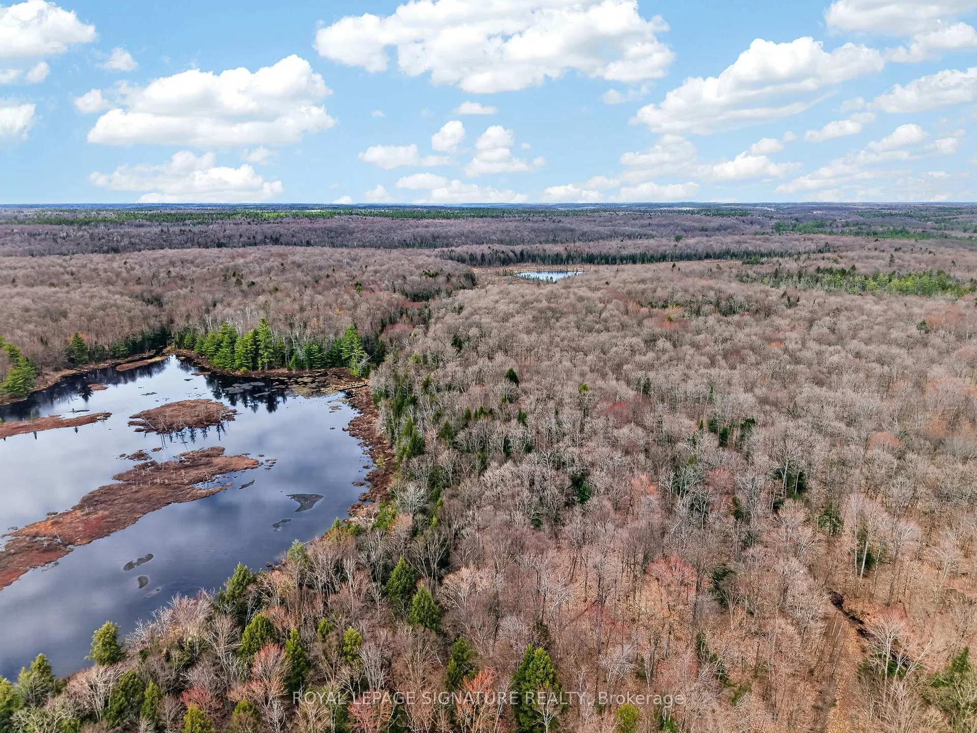 Photo 10 of 1170 Peter Road, Bracebridge, Macaulay — HOMEH