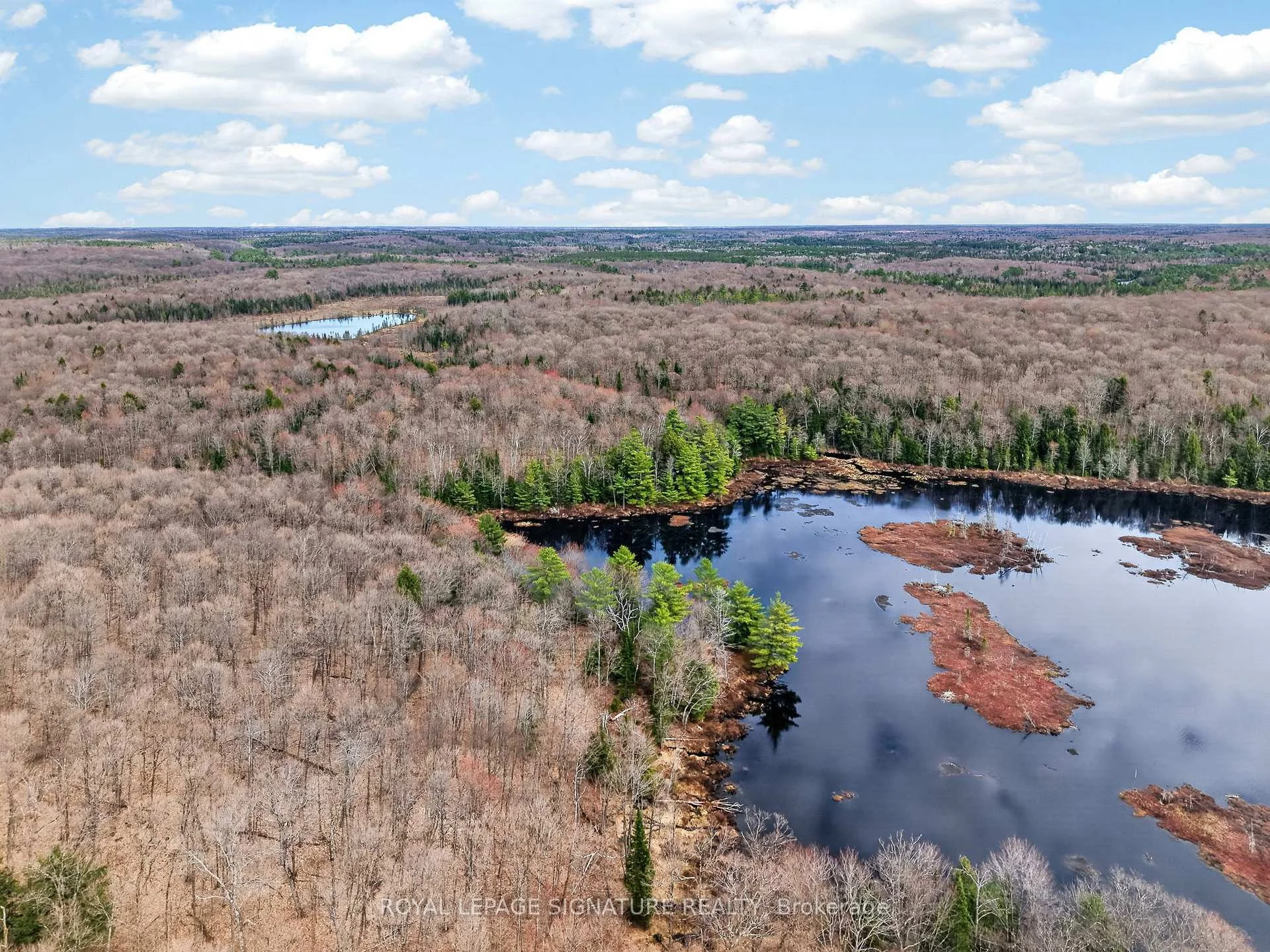 Photo 11 of 1170 Peter Road, Bracebridge, Macaulay — HOMEH