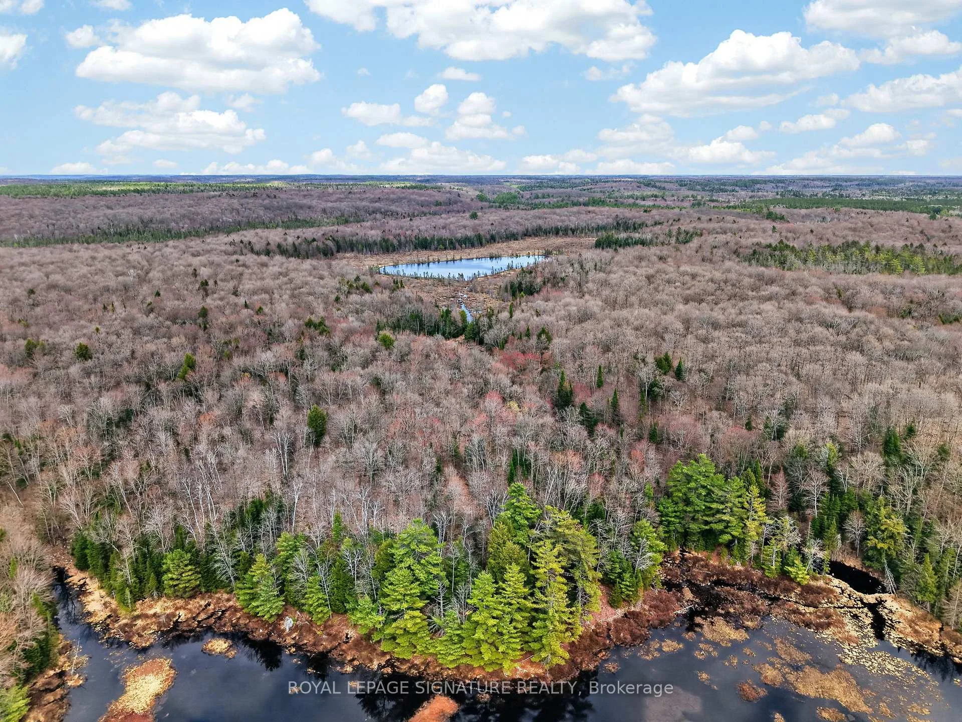 Photo 12 of 1170 Peter Road, Bracebridge, Macaulay — HOMEH