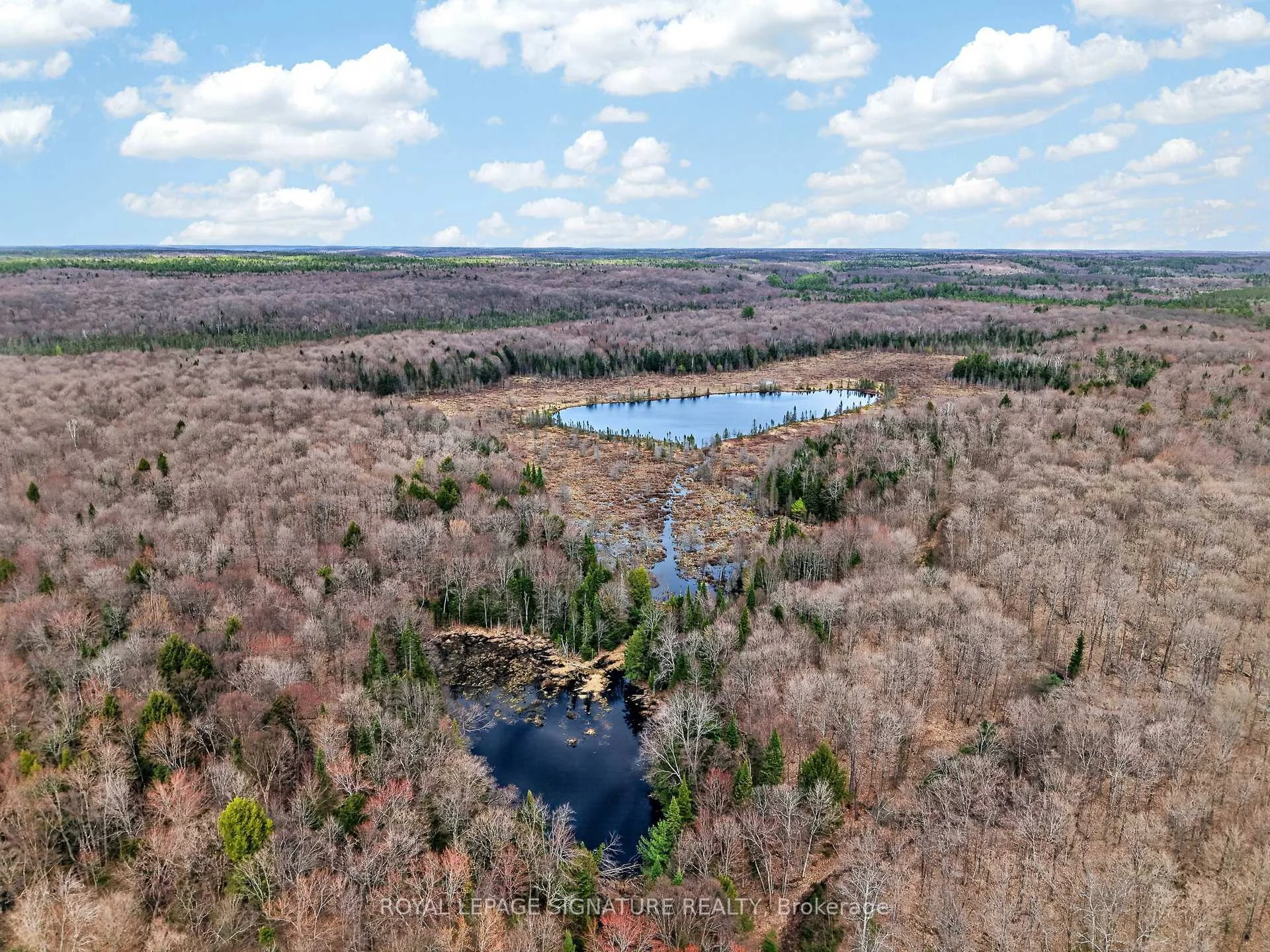 Photo 13 of 1170 Peter Road, Bracebridge, Macaulay — HOMEH