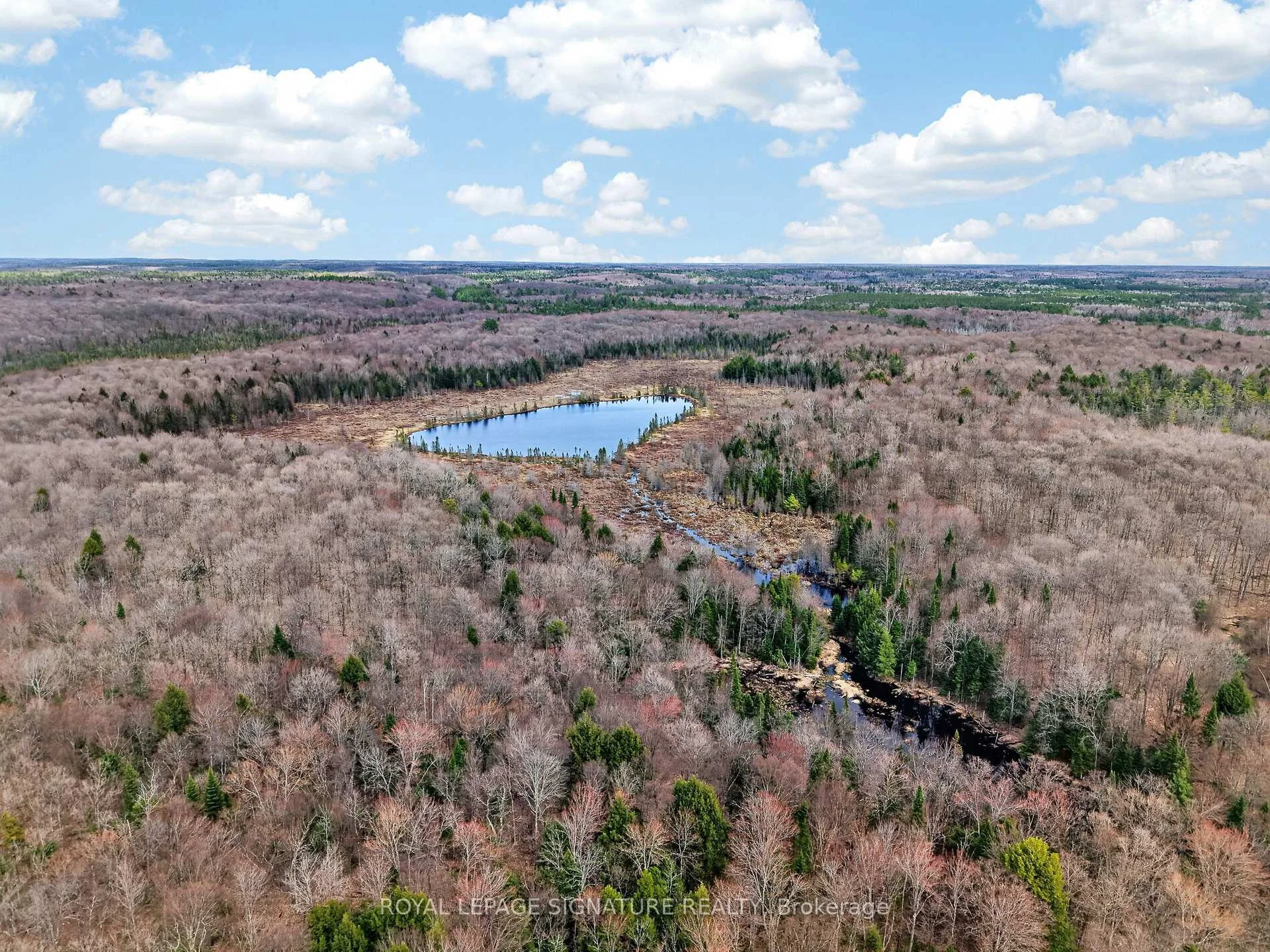 Photo 14 of 1170 Peter Road, Bracebridge, Macaulay — HOMEH