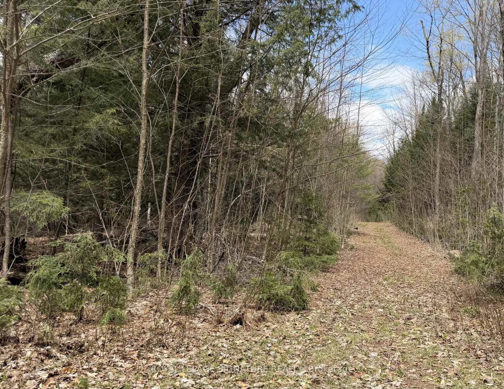 Photo 17 of 1170 Peter Road, Bracebridge, Macaulay — HOMEH