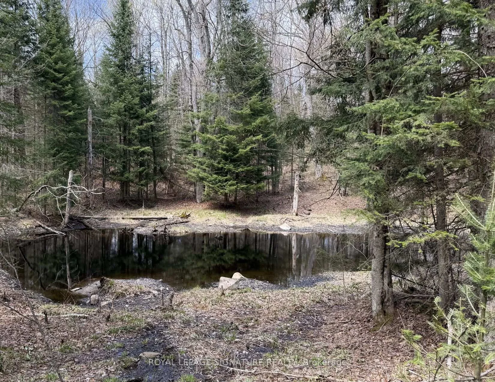 Photo 19 of 1170 Peter Road, Bracebridge, Macaulay — HOMEH