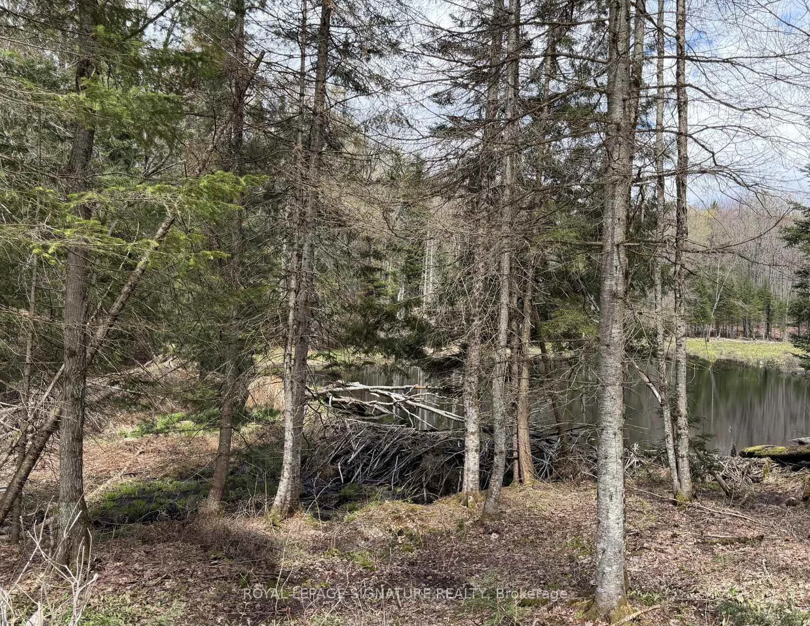 Photo 22 of 1170 Peter Road, Bracebridge, Macaulay — HOMEH