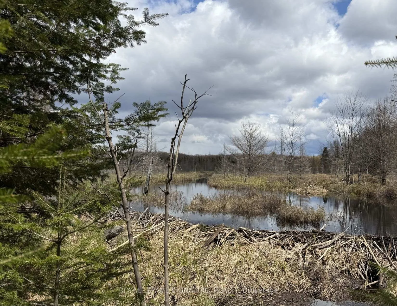 Photo 25 of 1170 Peter Road, Bracebridge, Macaulay — HOMEH