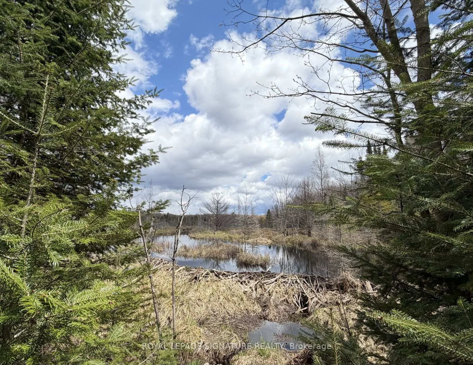 Photo 26 of 1170 Peter Road, Bracebridge, Macaulay — HOMEH