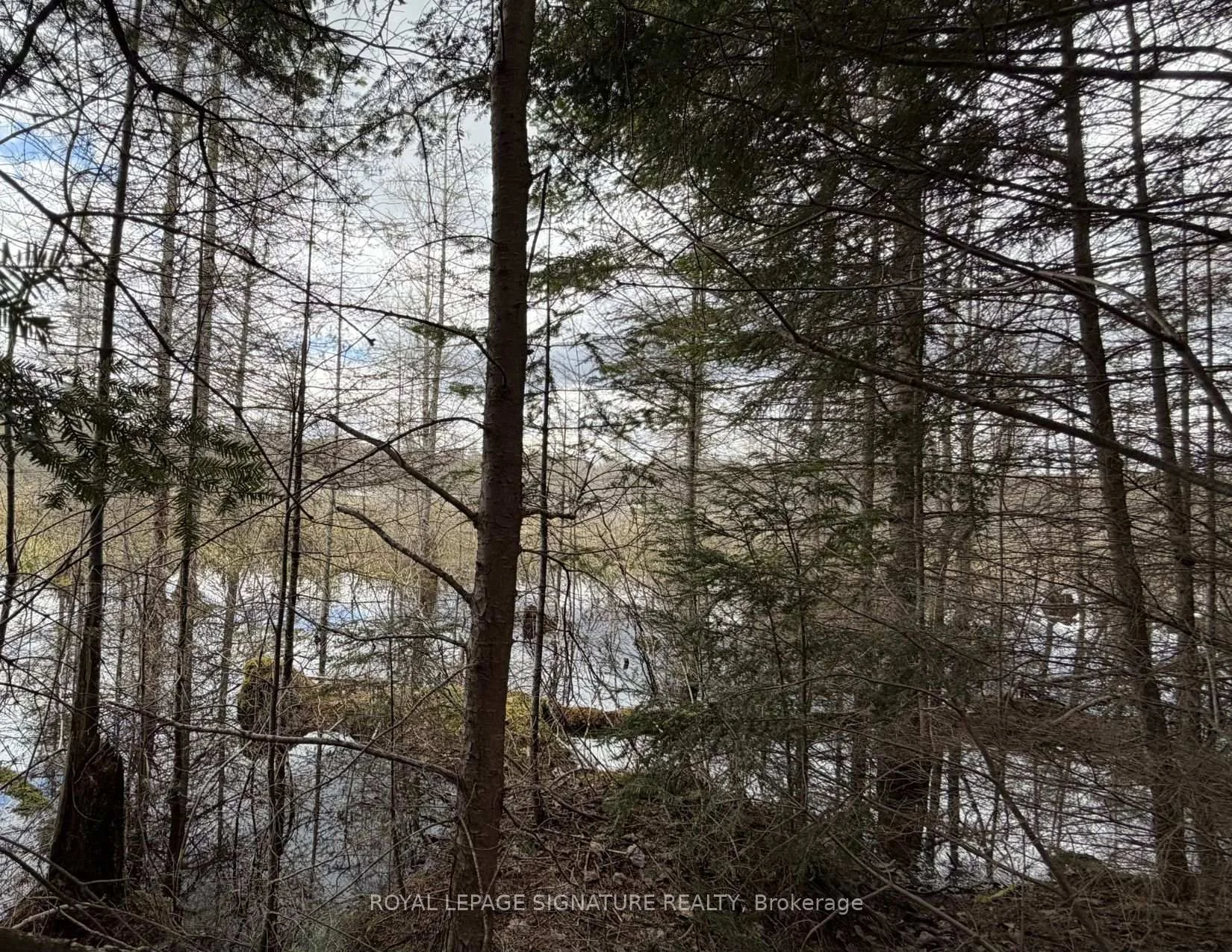 Photo 29 of 1170 Peter Road, Bracebridge, Macaulay — HOMEH