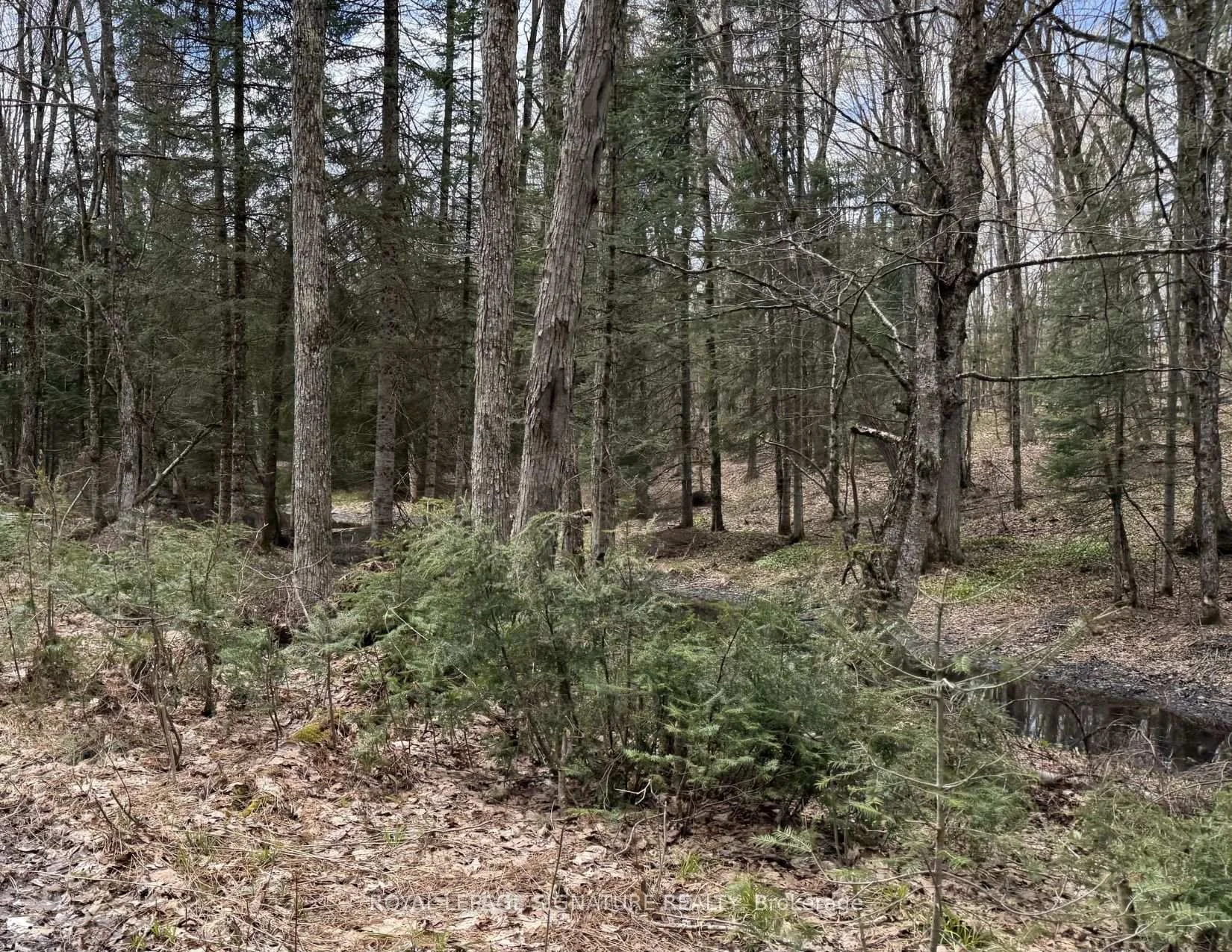 Photo 31 of 1170 Peter Road, Bracebridge, Macaulay — HOMEH