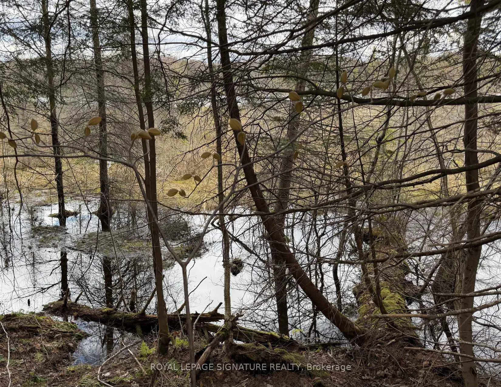 Photo 32 of 1170 Peter Road, Bracebridge, Macaulay — HOMEH