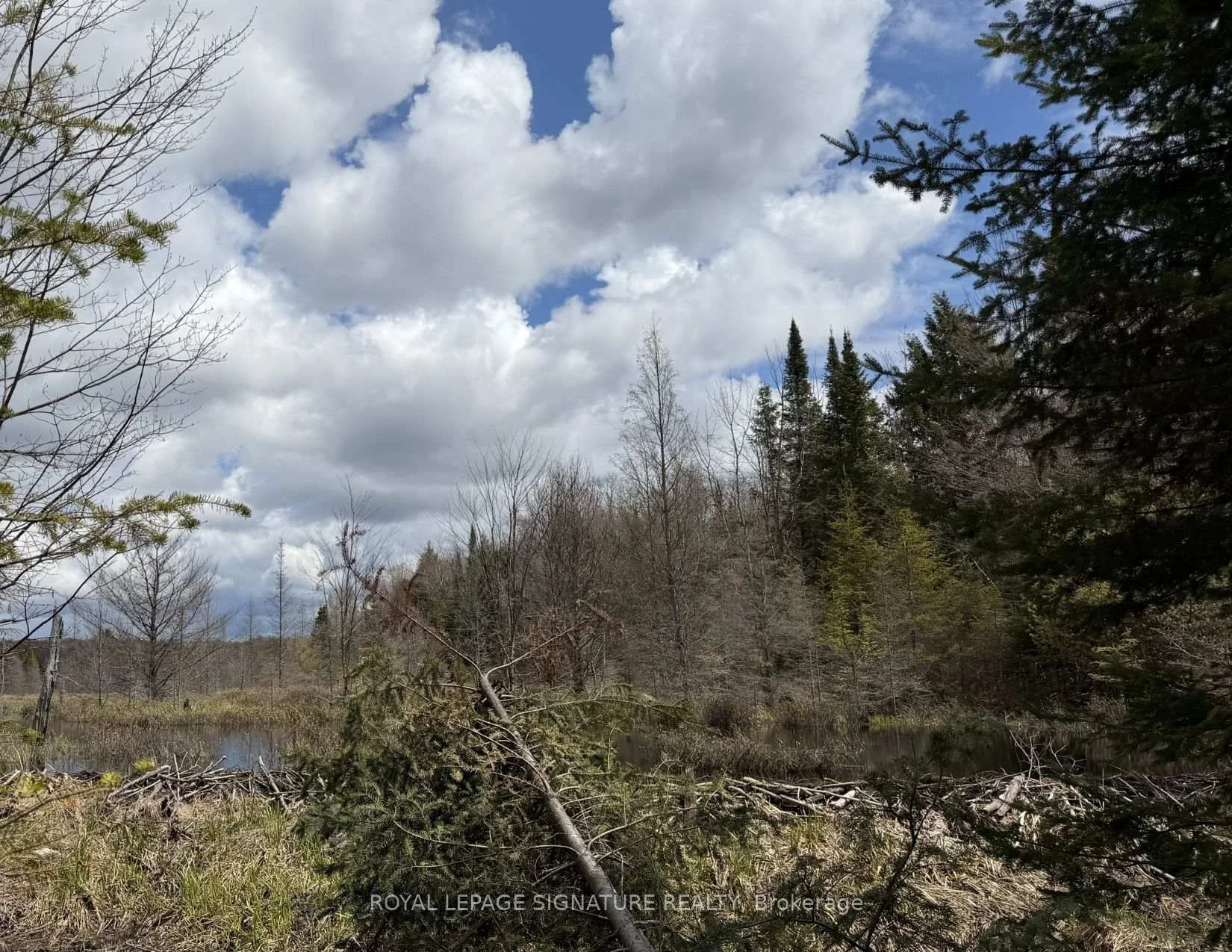 Photo 33 of 1170 Peter Road, Bracebridge, Macaulay — HOMEH