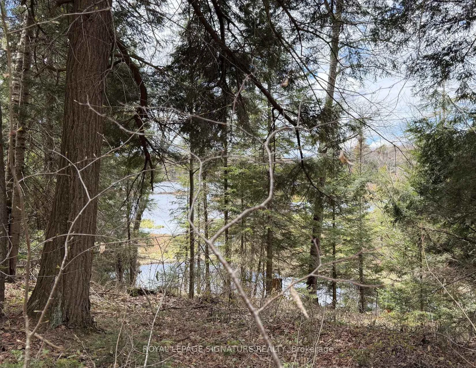 Photo 34 of 1170 Peter Road, Bracebridge, Macaulay — HOMEH