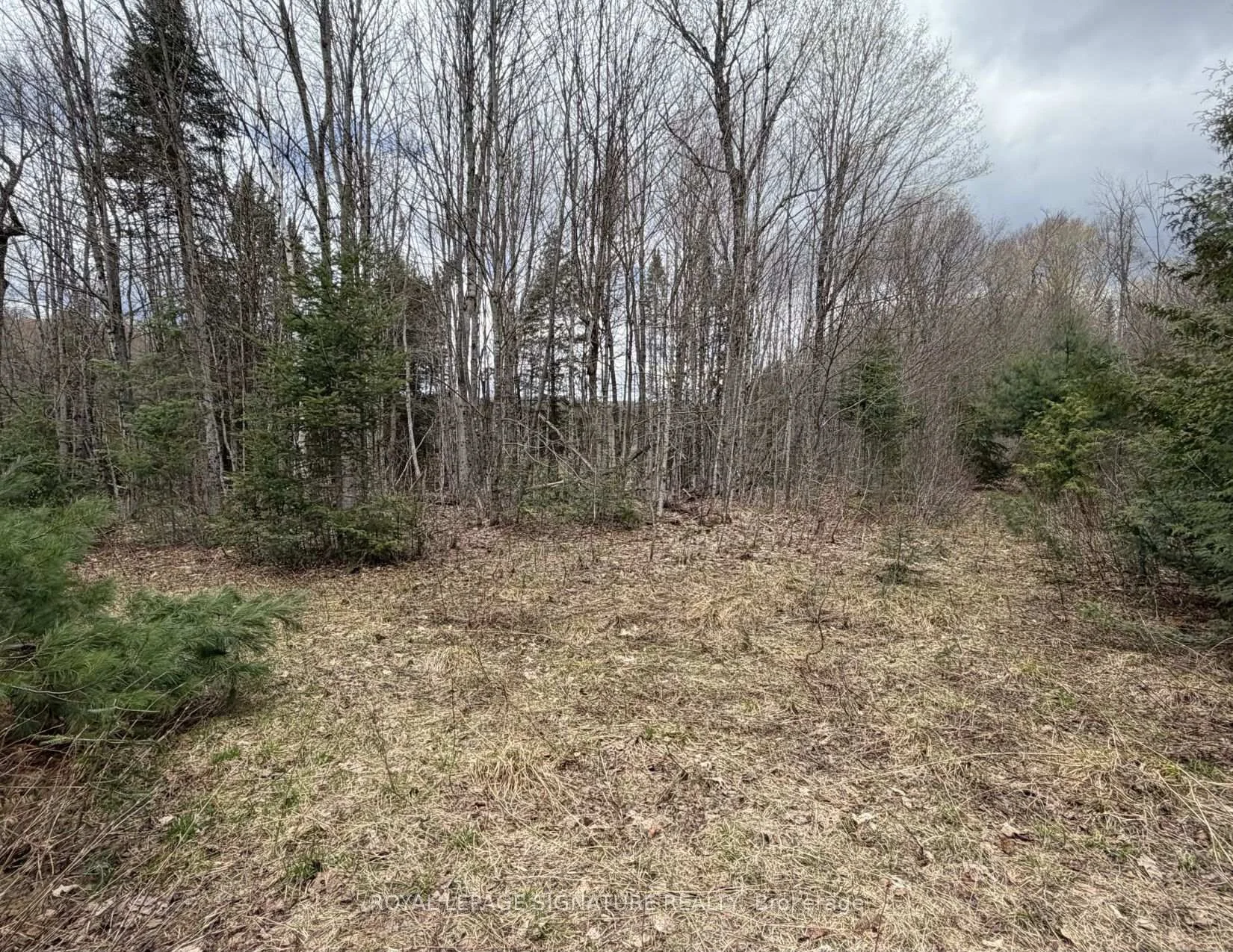 Photo 35 of 1170 Peter Road, Bracebridge, Macaulay — HOMEH