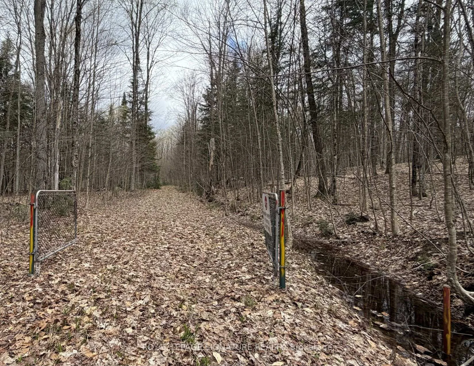 Photo 36 of 1170 Peter Road, Bracebridge, Macaulay — HOMEH