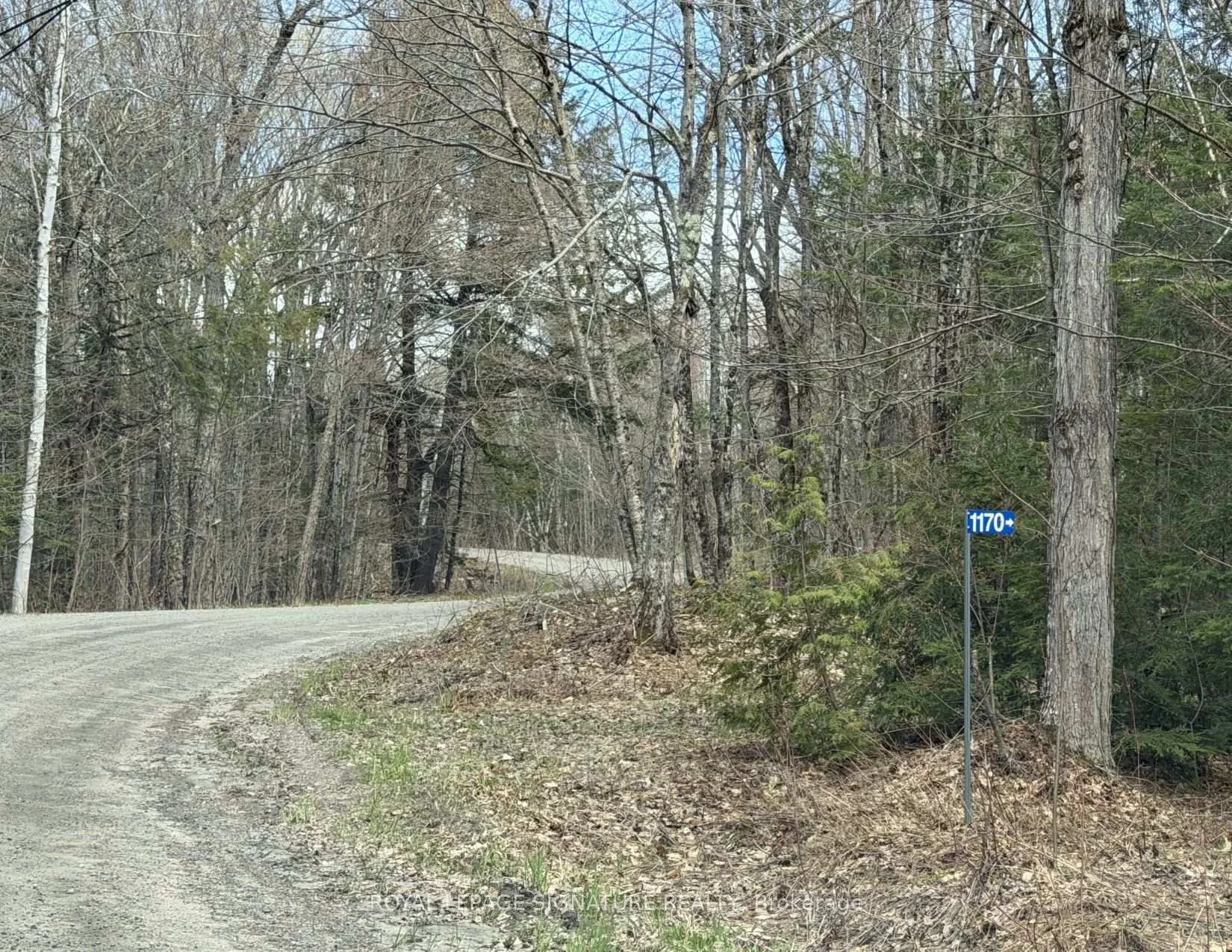 Photo 37 of 1170 Peter Road, Bracebridge, Macaulay — HOMEH