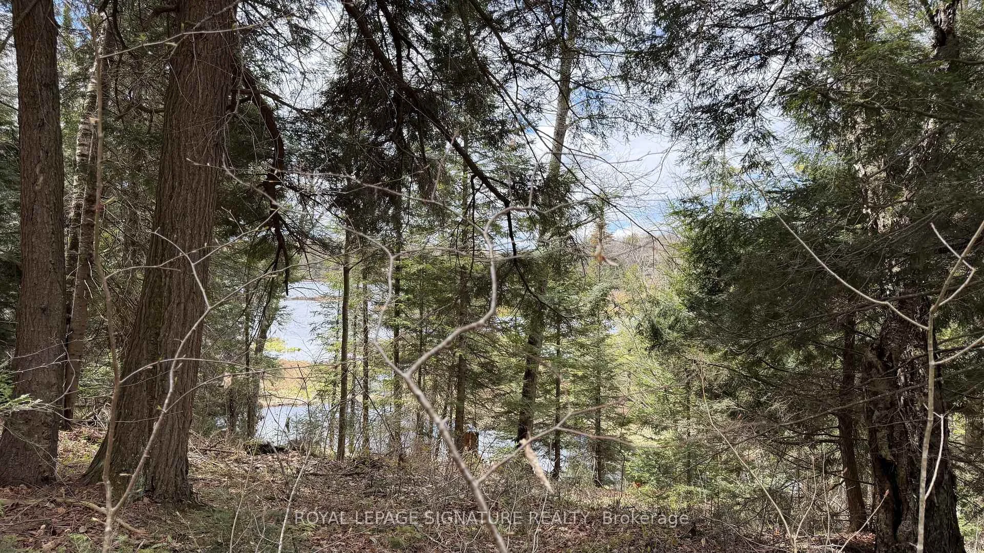 Photo 39 of 1170 Peter Road, Bracebridge, Macaulay — HOMEH
