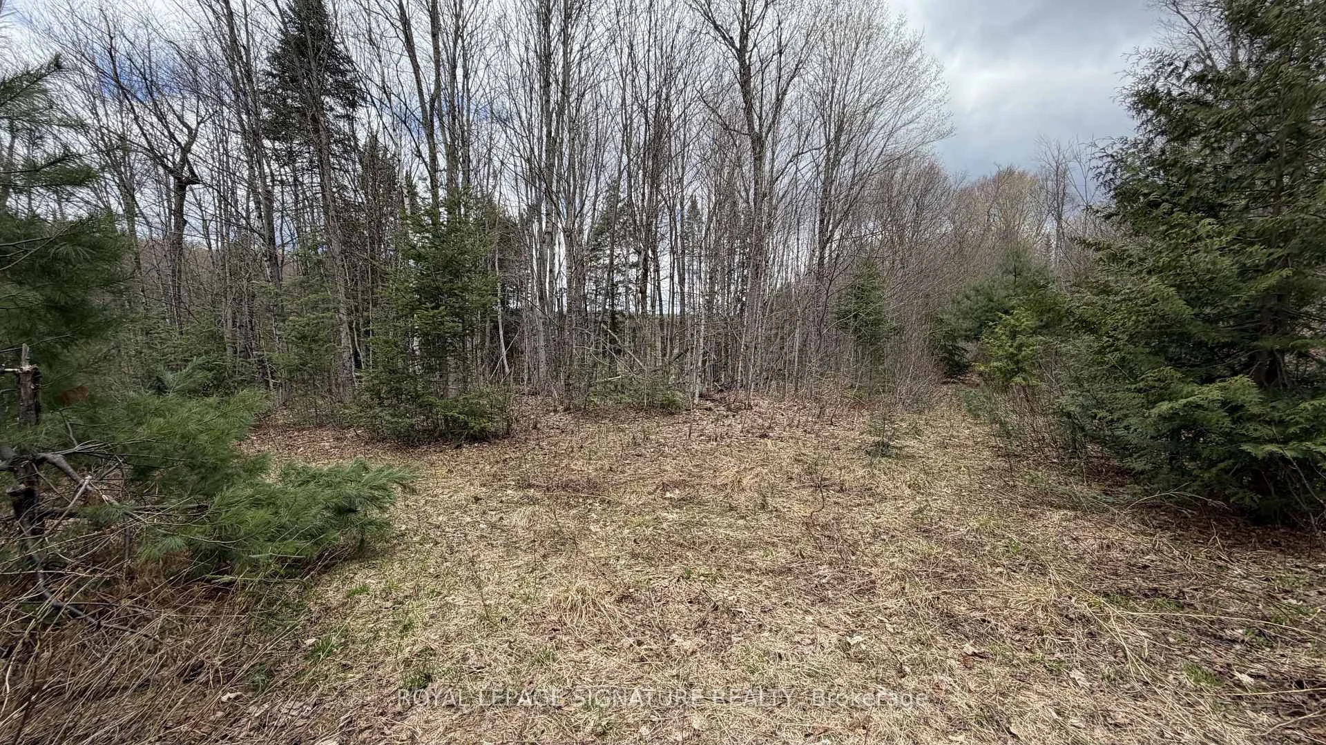 Photo 40 of 1170 Peter Road, Bracebridge, Macaulay — HOMEH