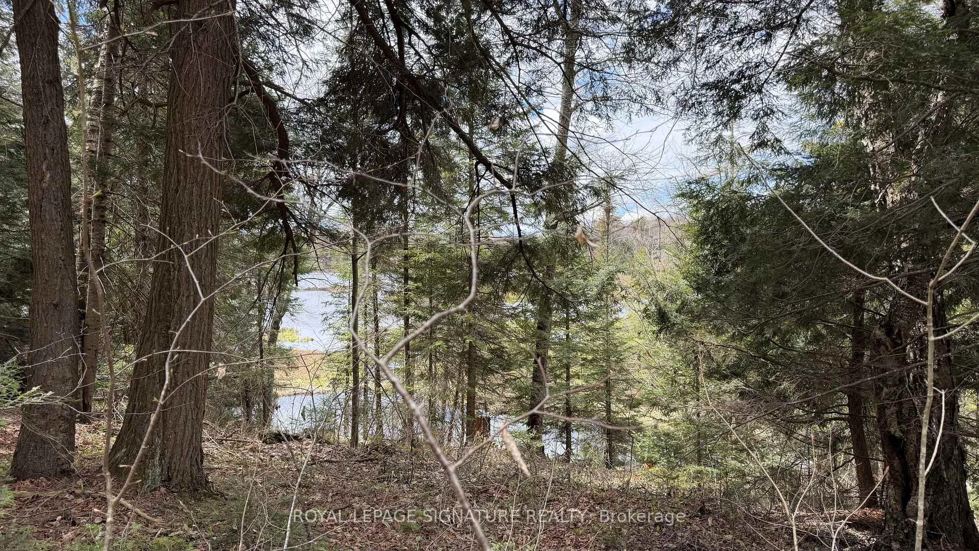 Photo 43 of 1170 Peter Road, Bracebridge, Macaulay — HOMEH