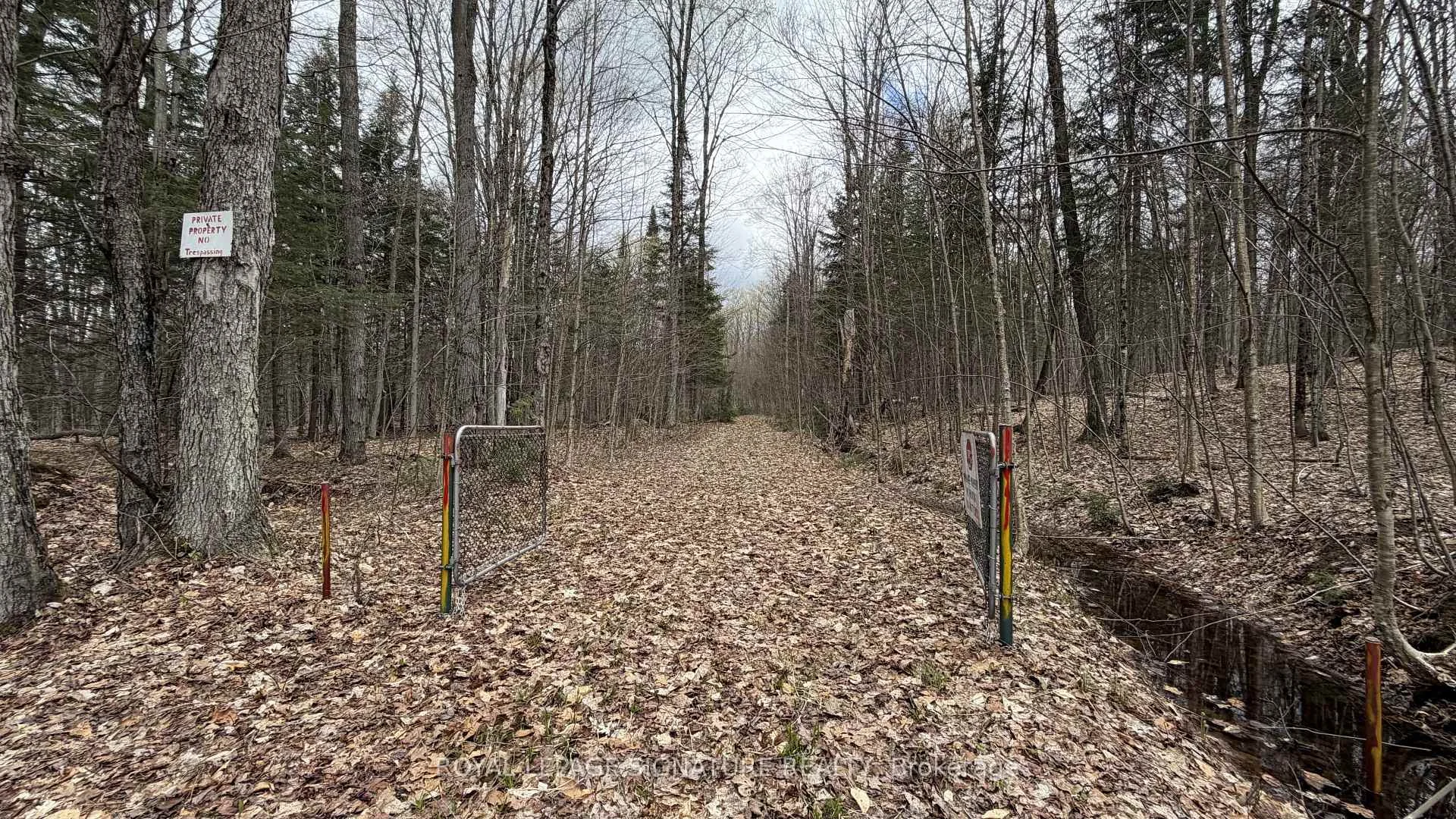 Photo 44 of 1170 Peter Road, Bracebridge, Macaulay — HOMEH