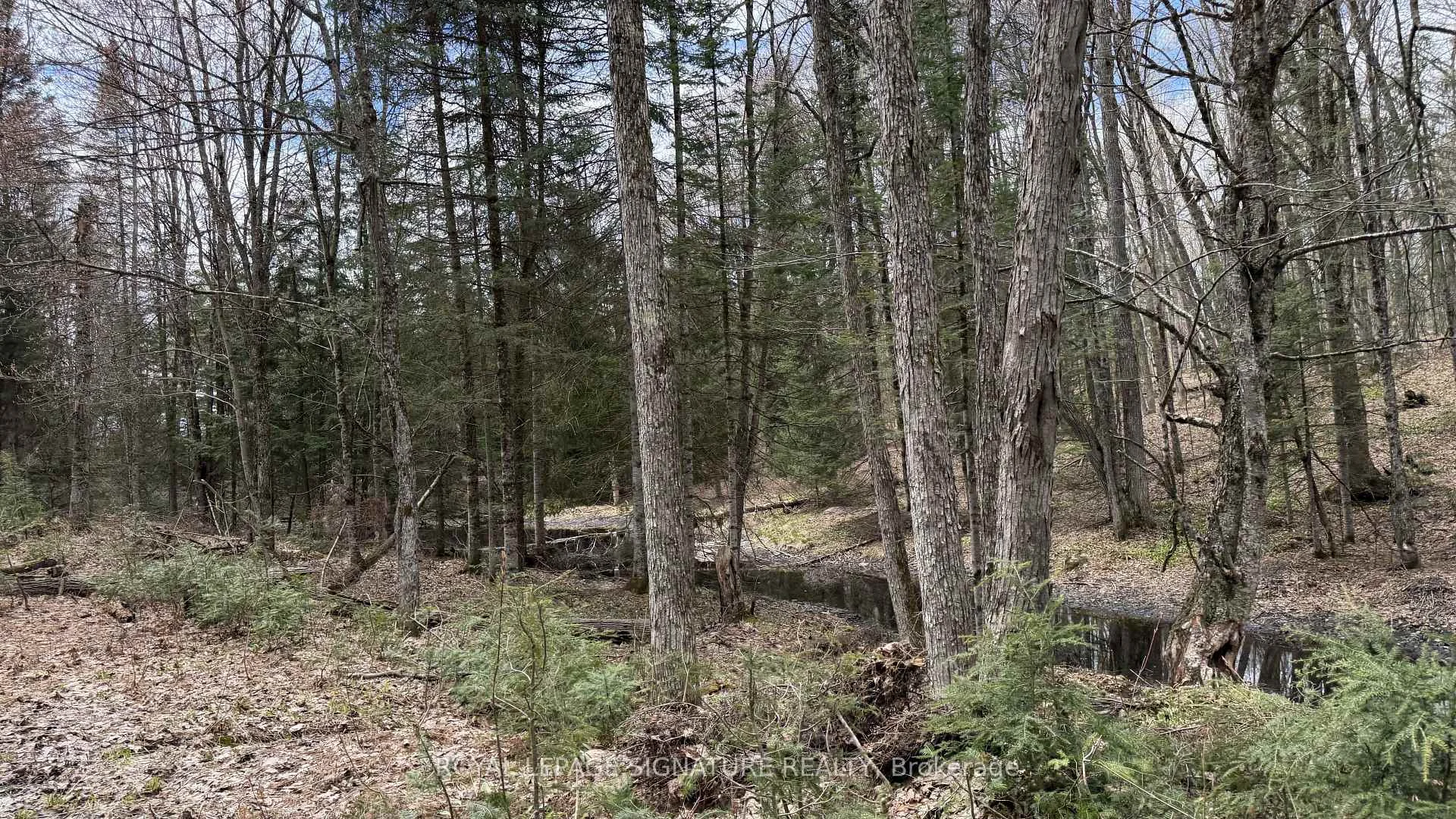 Photo 45 of 1170 Peter Road, Bracebridge, Macaulay — HOMEH
