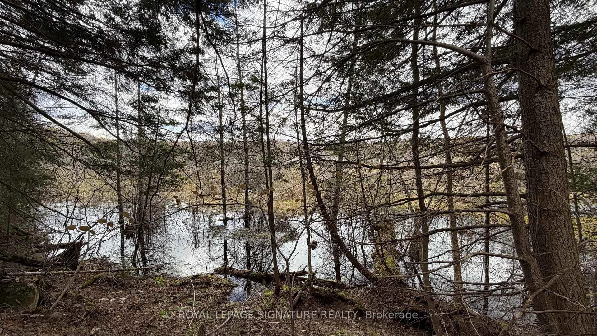 Photo 46 of 1170 Peter Road, Bracebridge, Macaulay — HOMEH