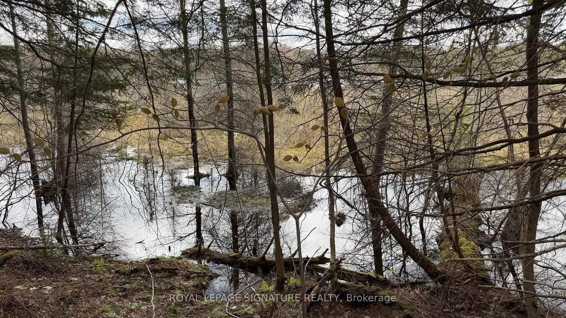 Photo 47 of 1170 Peter Road, Bracebridge, Macaulay — HOMEH