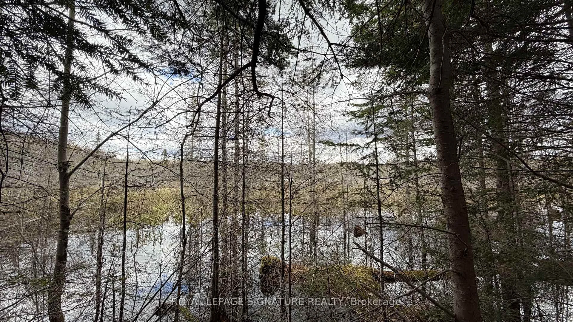 Photo 51 of 1170 Peter Road, Bracebridge, Macaulay — HOMEH