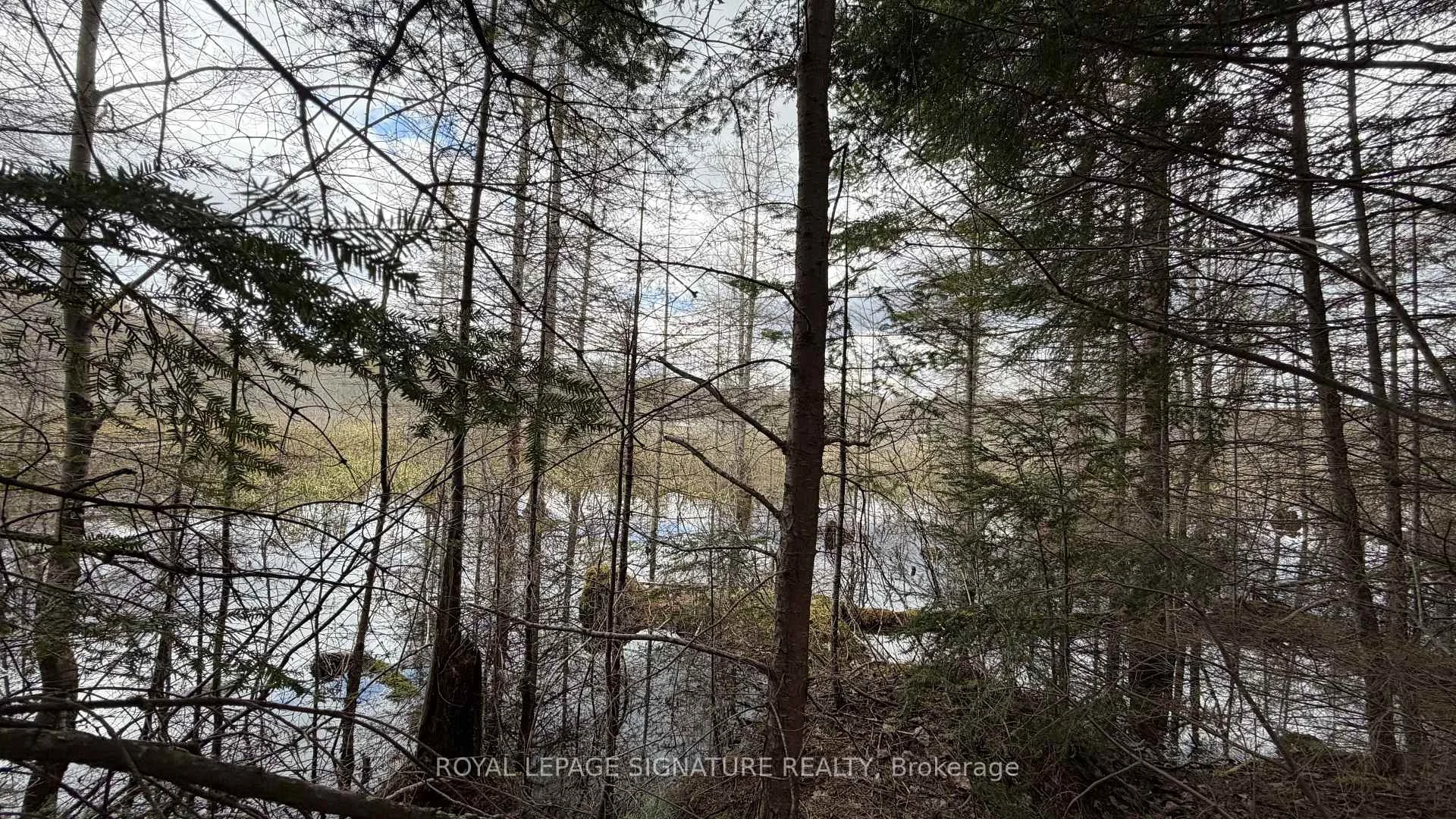 Photo 52 of 1170 Peter Road, Bracebridge, Macaulay — HOMEH