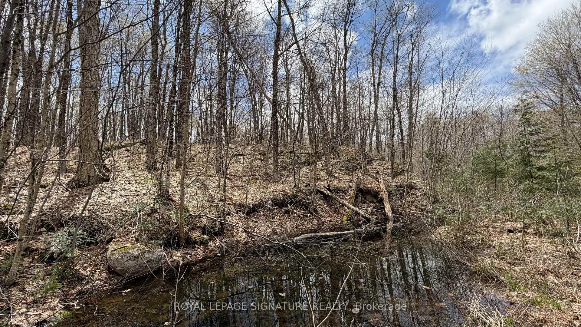 Photo 53 of 1170 Peter Road, Bracebridge, Macaulay — HOMEH