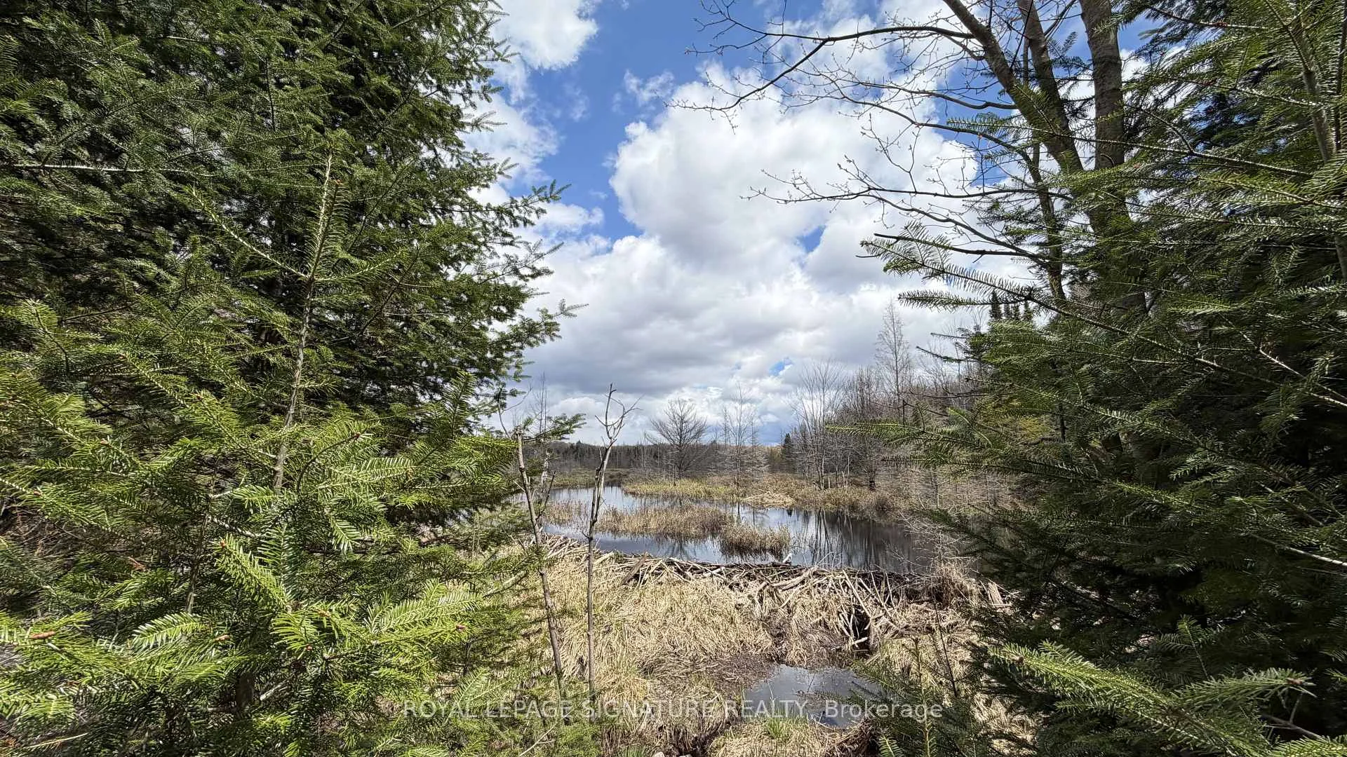Photo 56 of 1170 Peter Road, Bracebridge, Macaulay — HOMEH