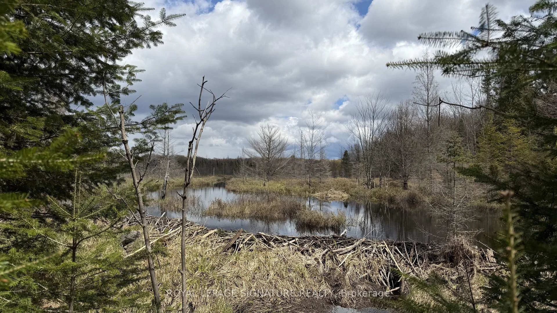 Photo 57 of 1170 Peter Road, Bracebridge, Macaulay — HOMEH