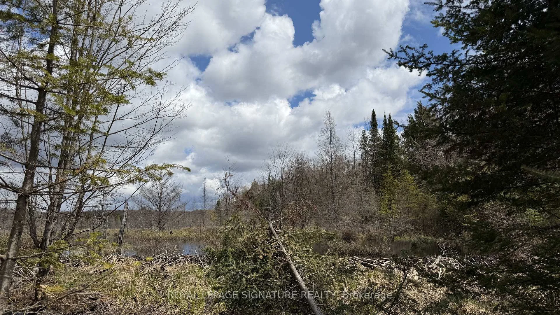 Photo 58 of 1170 Peter Road, Bracebridge, Macaulay — HOMEH