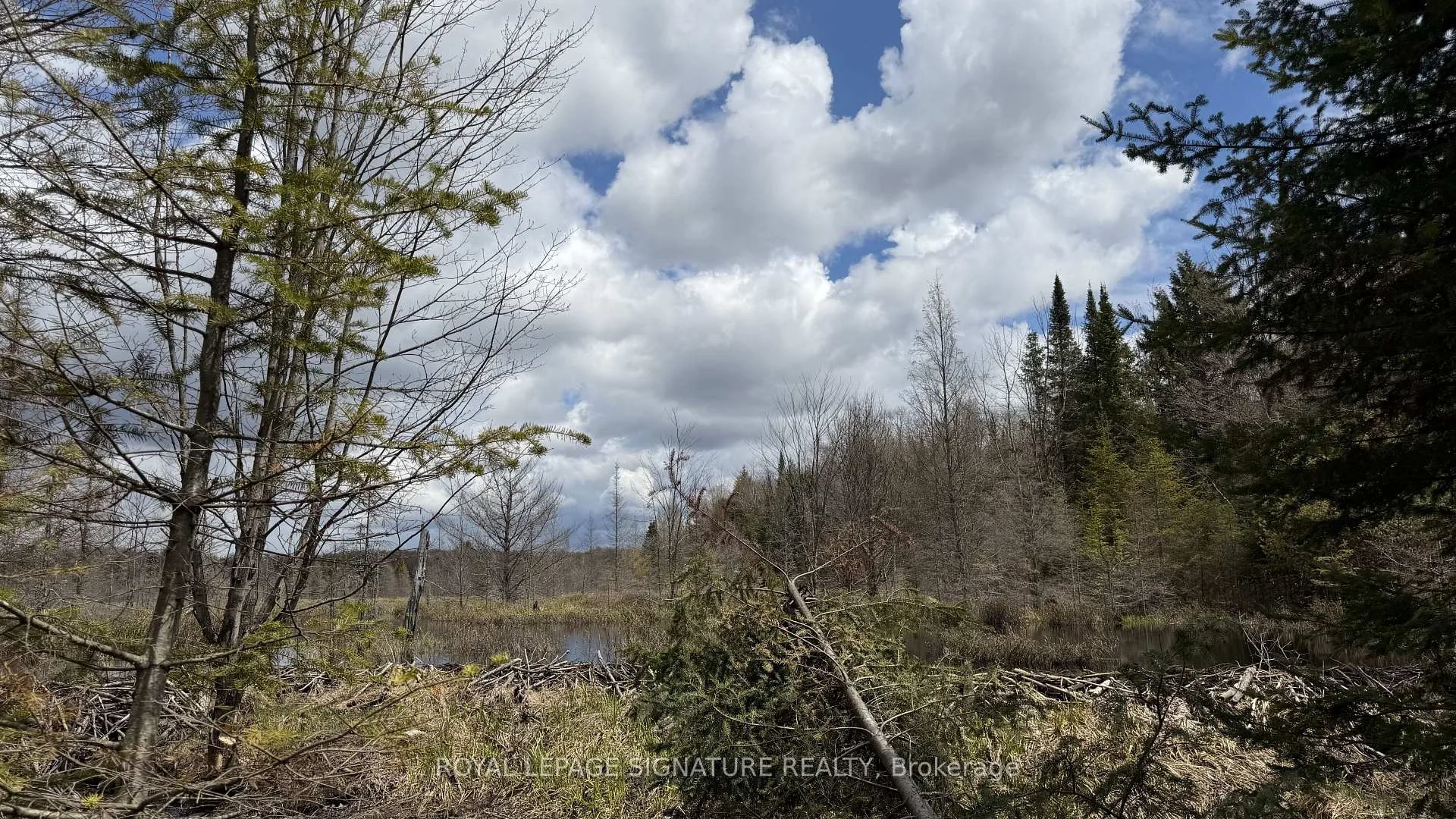 Photo 59 of 1170 Peter Road, Bracebridge, Macaulay — HOMEH