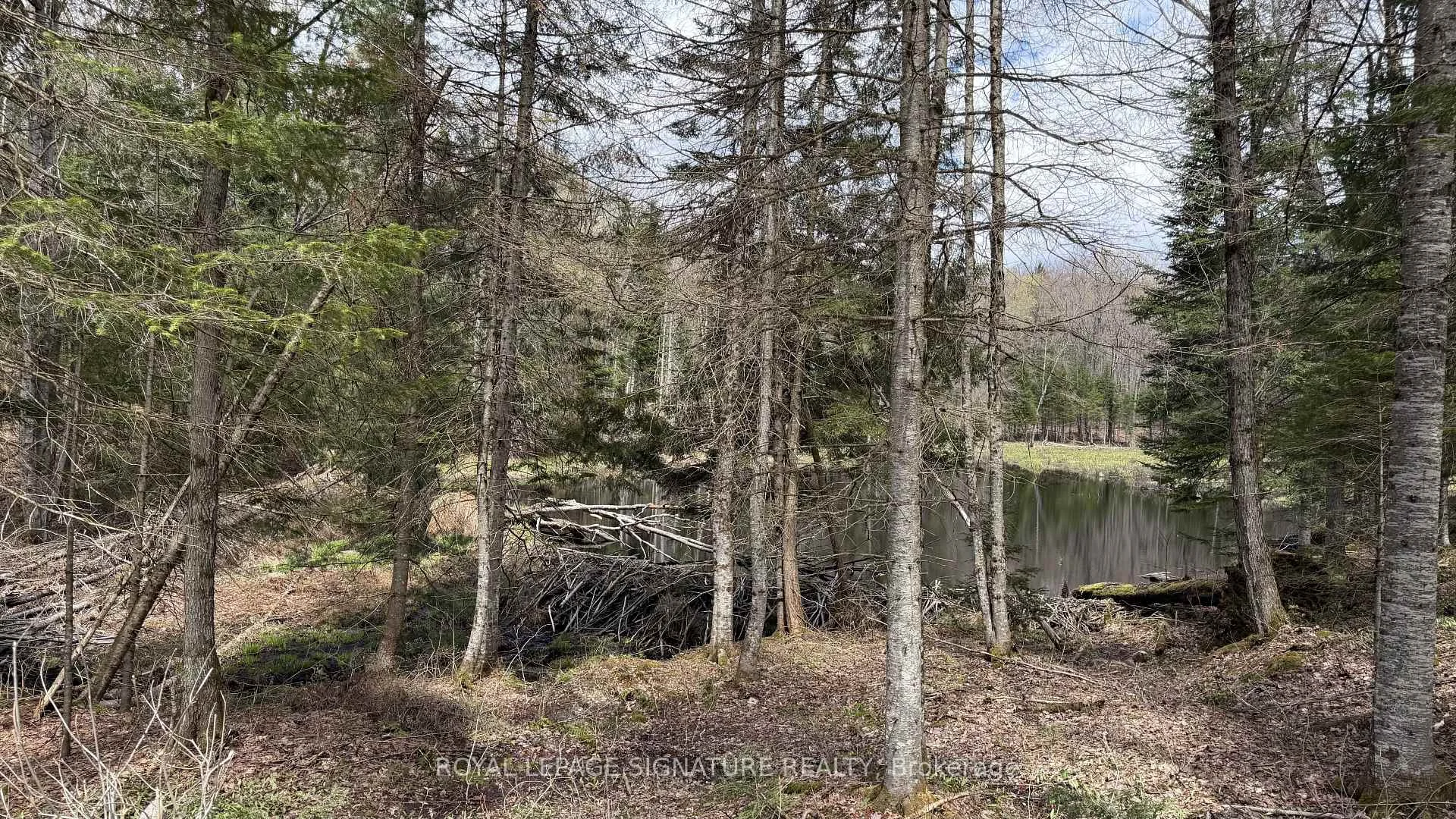Photo 65 of 1170 Peter Road, Bracebridge, Macaulay — HOMEH