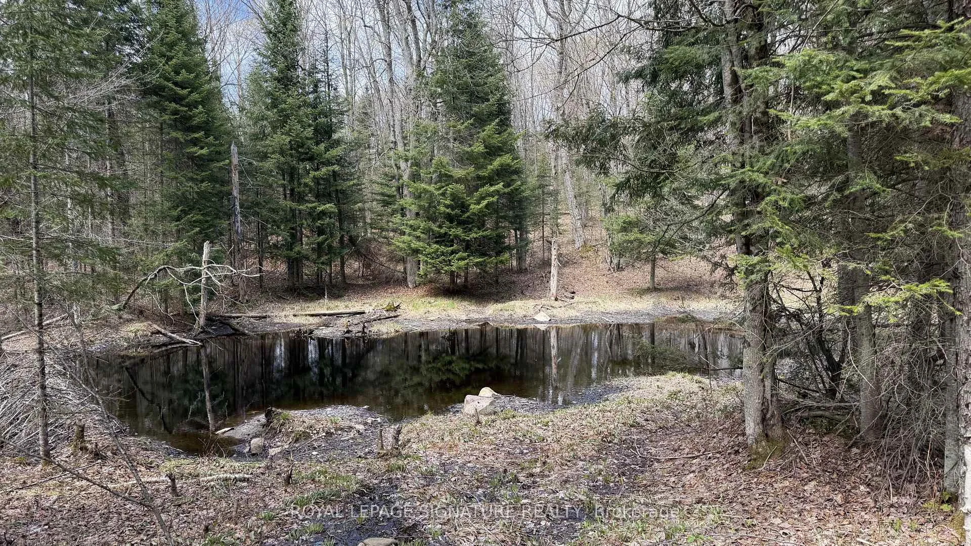 Photo 69 of 1170 Peter Road, Bracebridge, Macaulay — HOMEH
