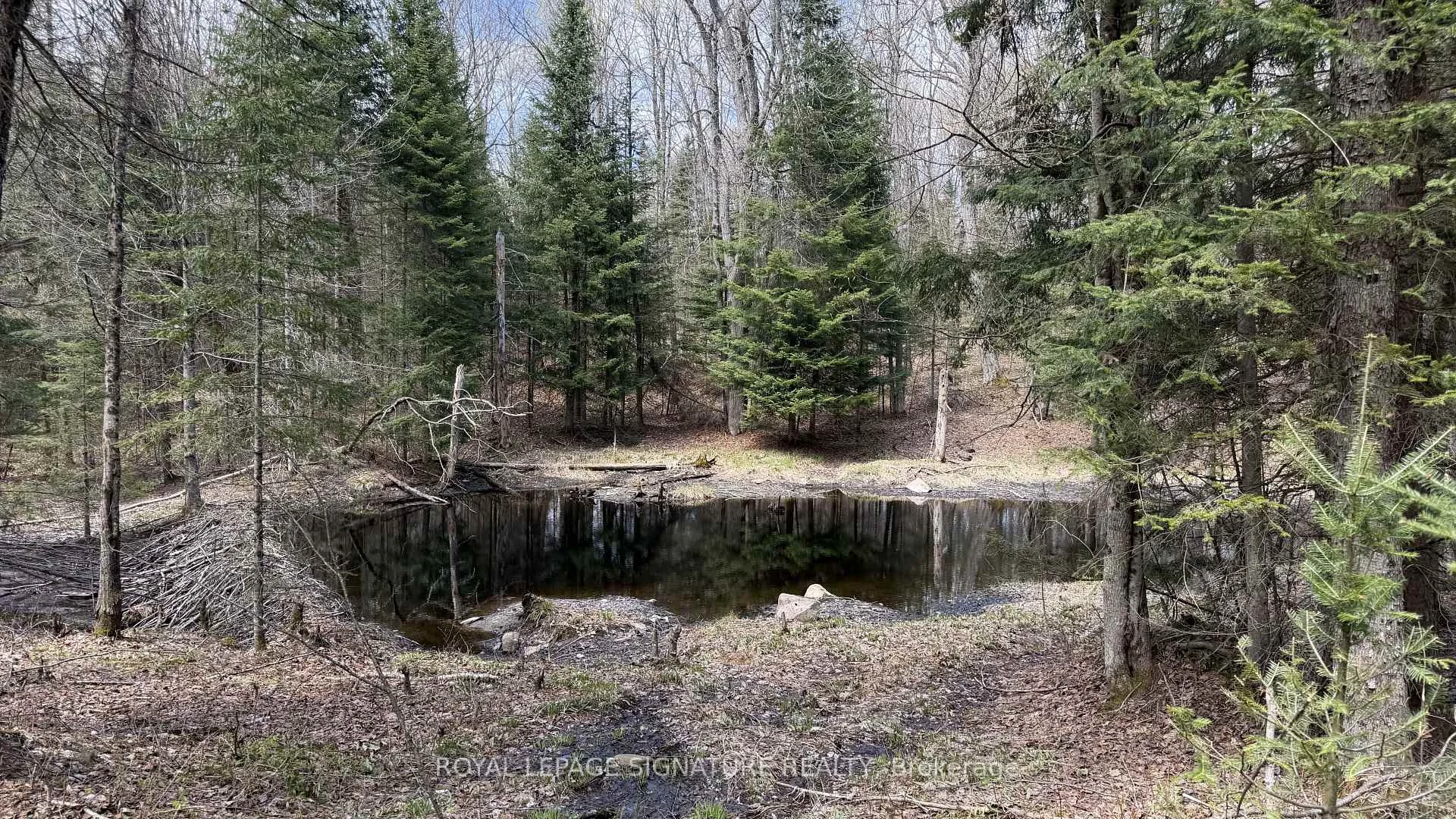 Photo 70 of 1170 Peter Road, Bracebridge, Macaulay — HOMEH