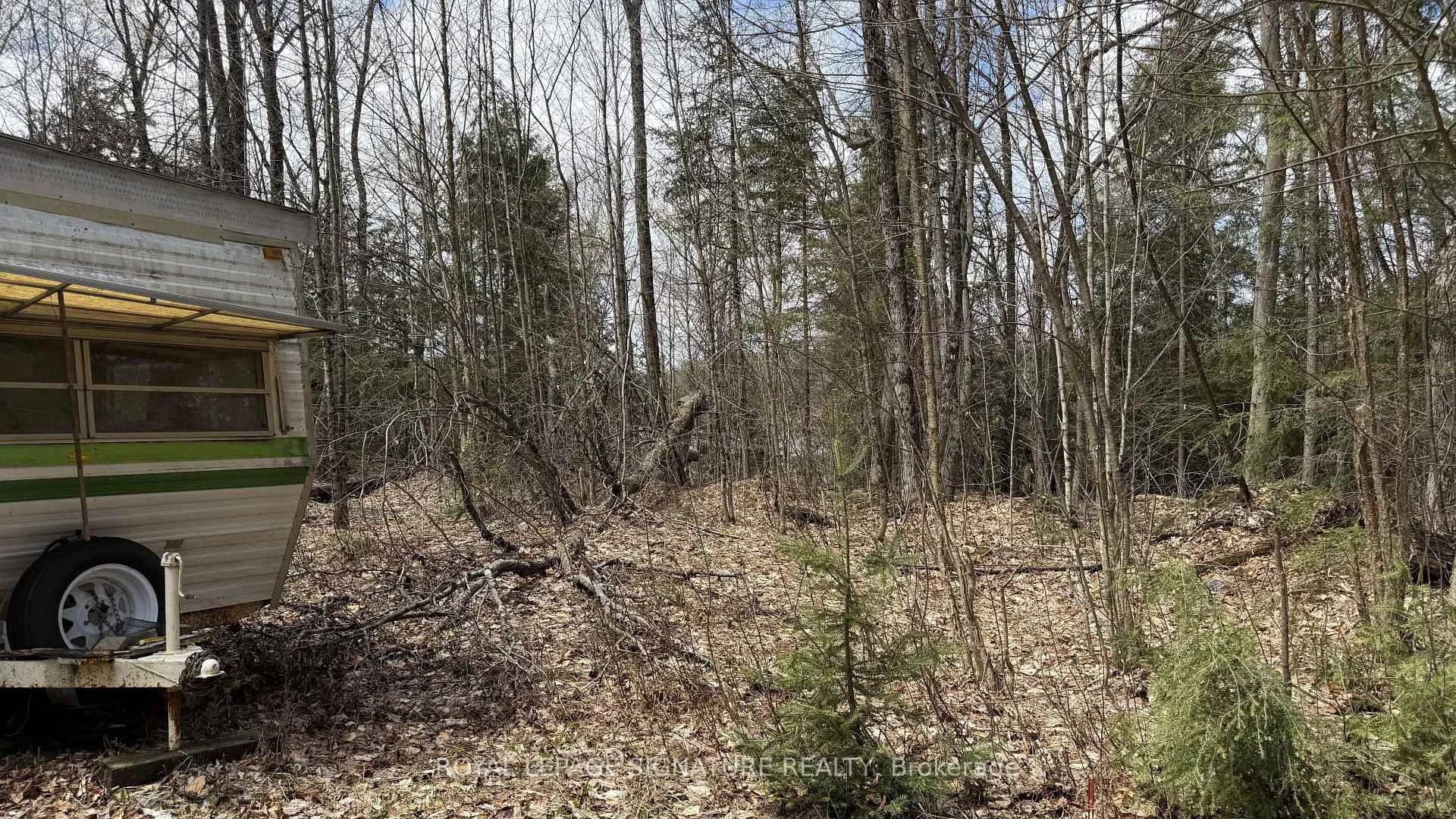 Photo 71 of 1170 Peter Road, Bracebridge, Macaulay — HOMEH