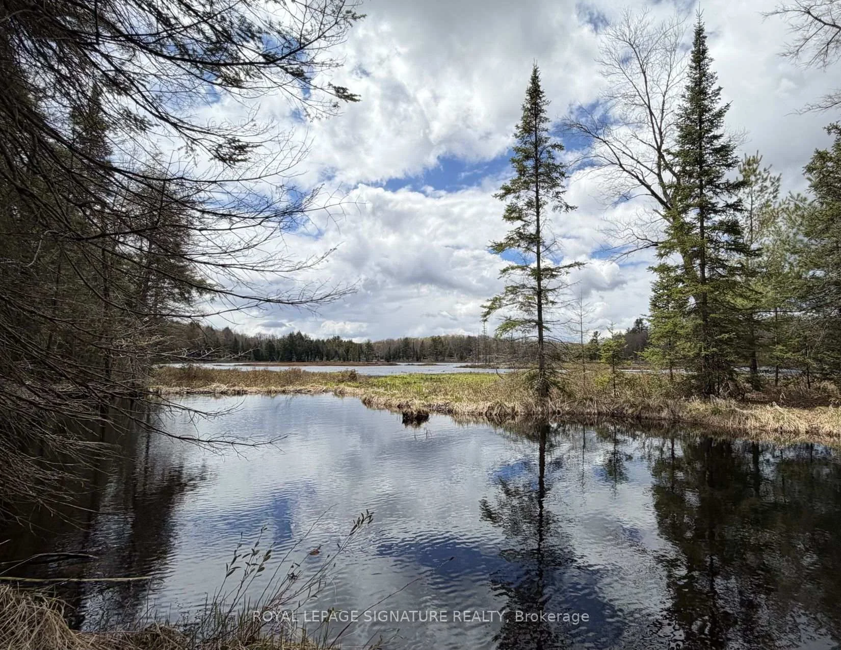 Photo 83 of 1170 Peter Road, Bracebridge, Macaulay — HOMEH