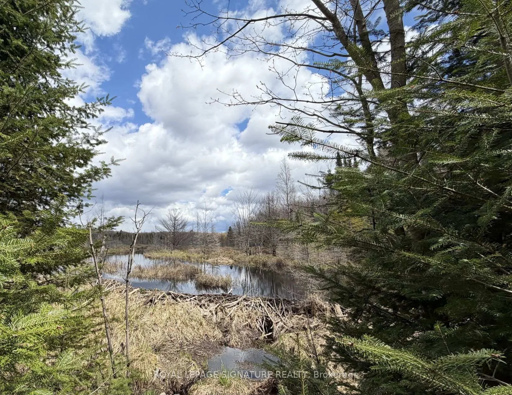 Photo 105 of 1170 Peter Road, Bracebridge, Macaulay — HOMEH