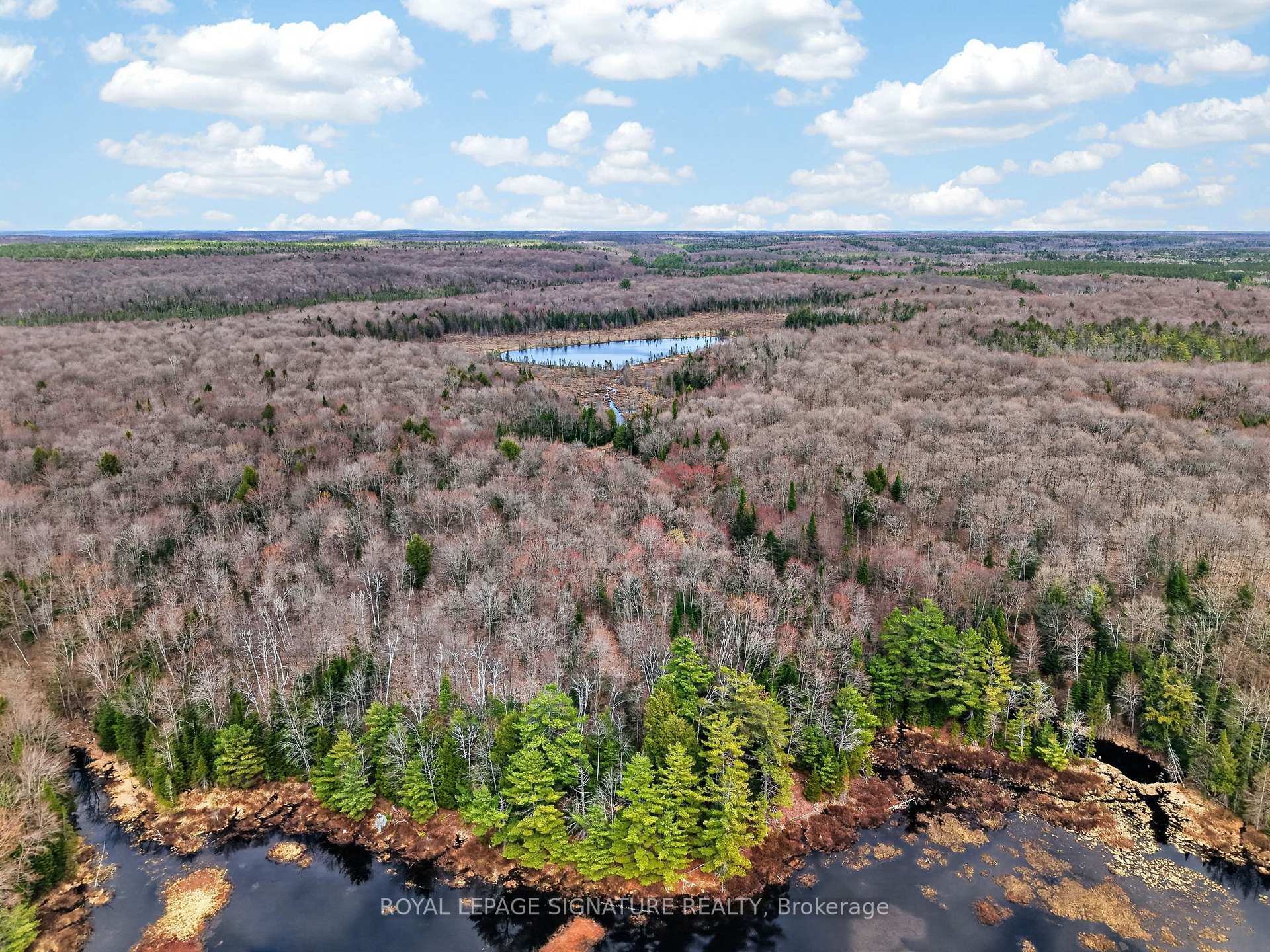 Photo 85 of 1170 Peter Road, Bracebridge, Macaulay — HOMEH