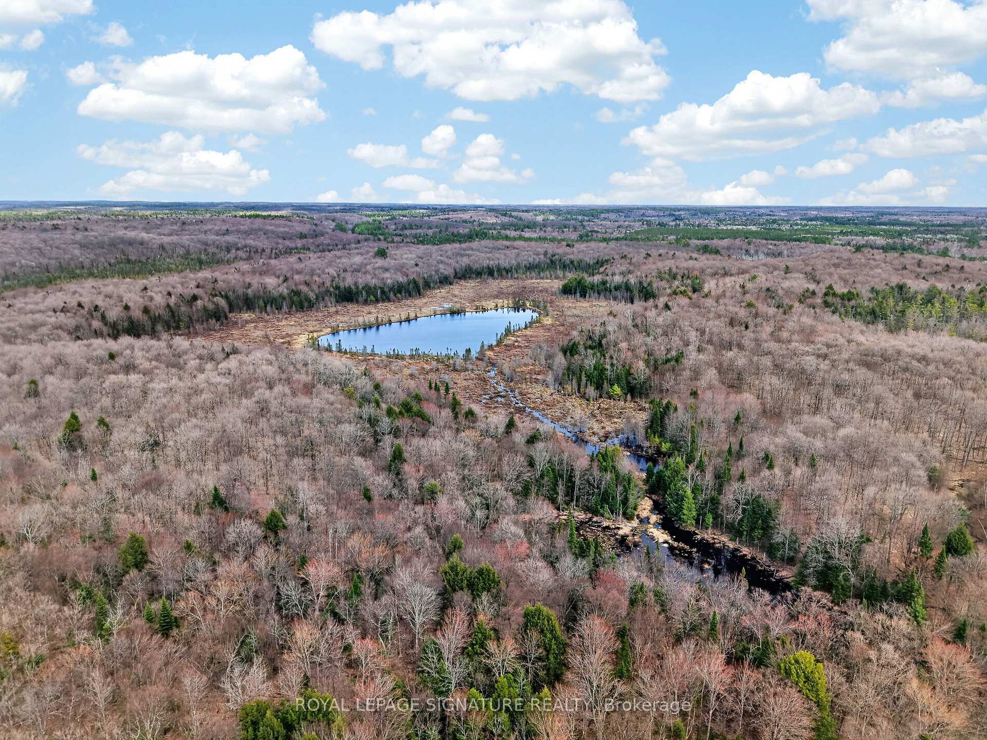 Photo 87 of 1170 Peter Road, Bracebridge, Macaulay — HOMEH