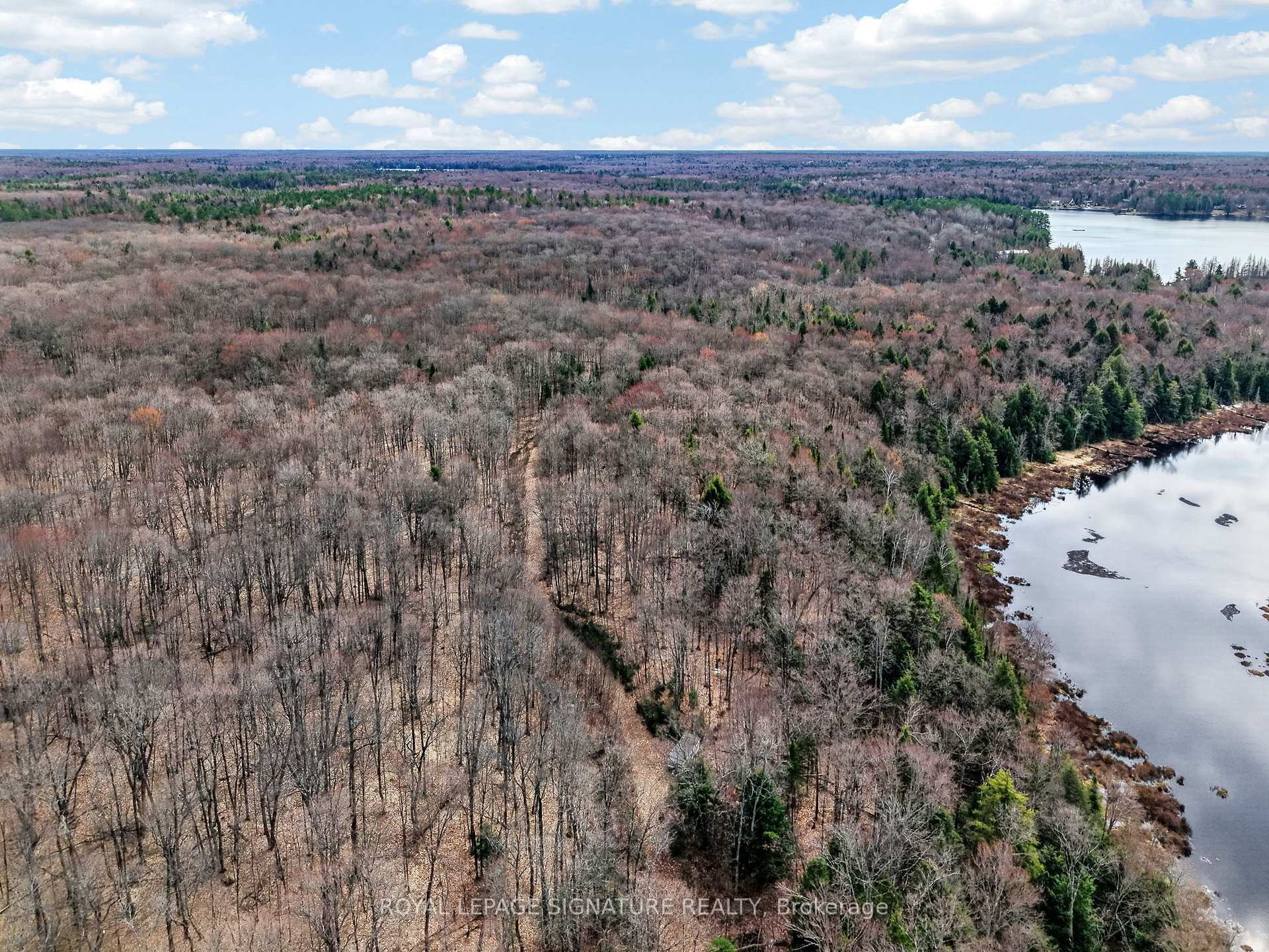 Photo 92 of 1170 Peter Road, Bracebridge, Macaulay — HOMEH
